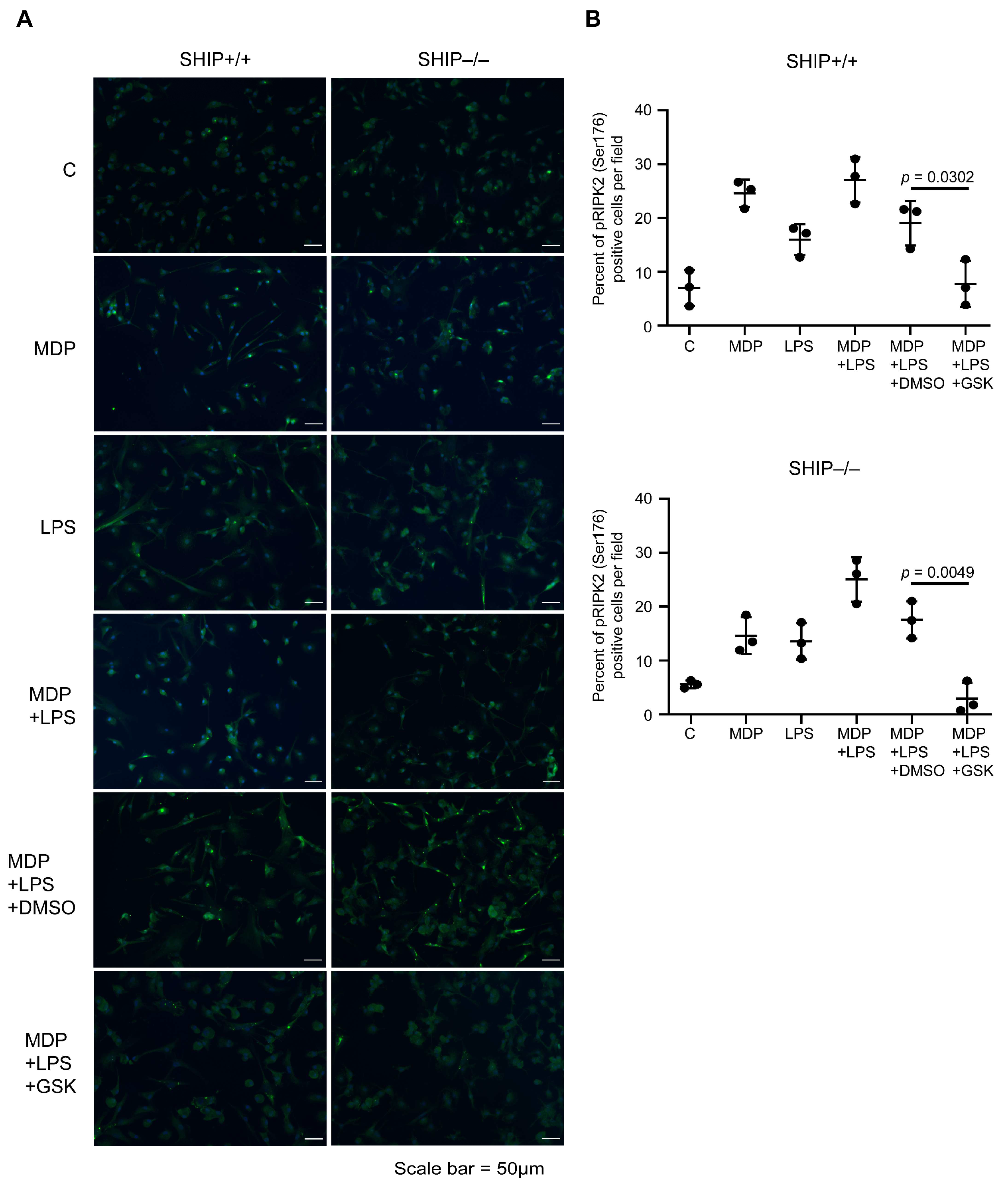 Immuno 05 00037 g001
