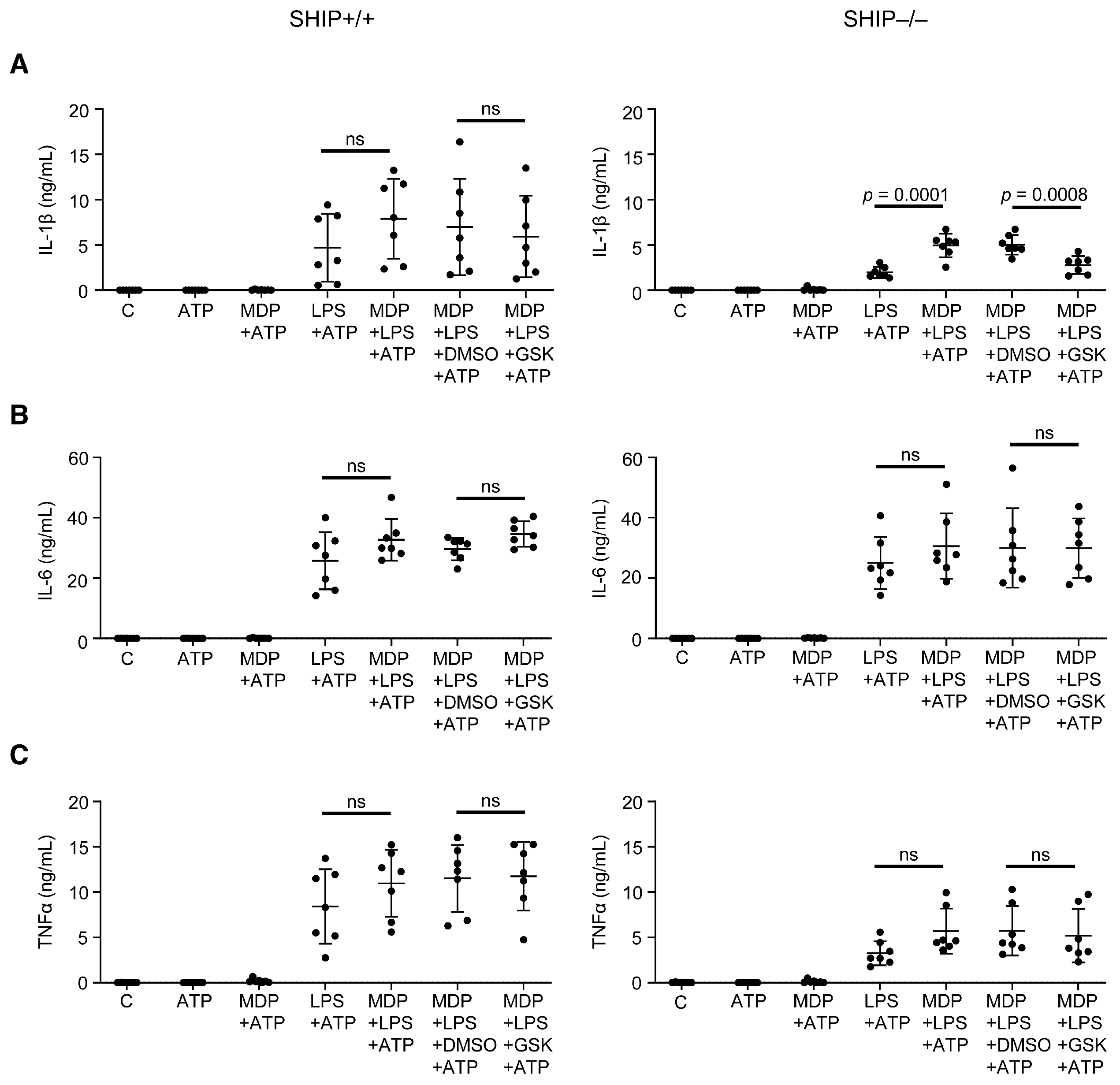 Immuno 05 00037 g002
