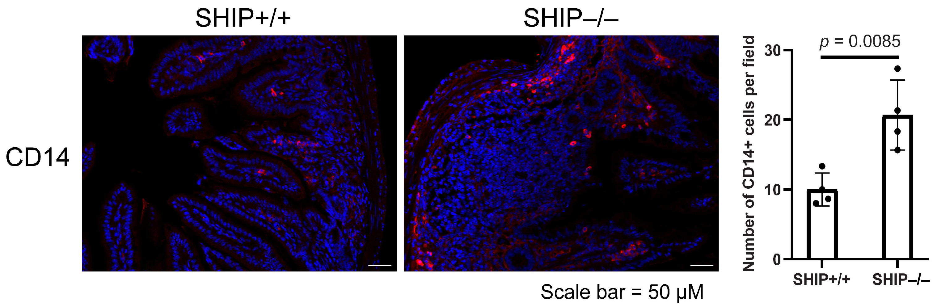 Immuno 05 00037 g005