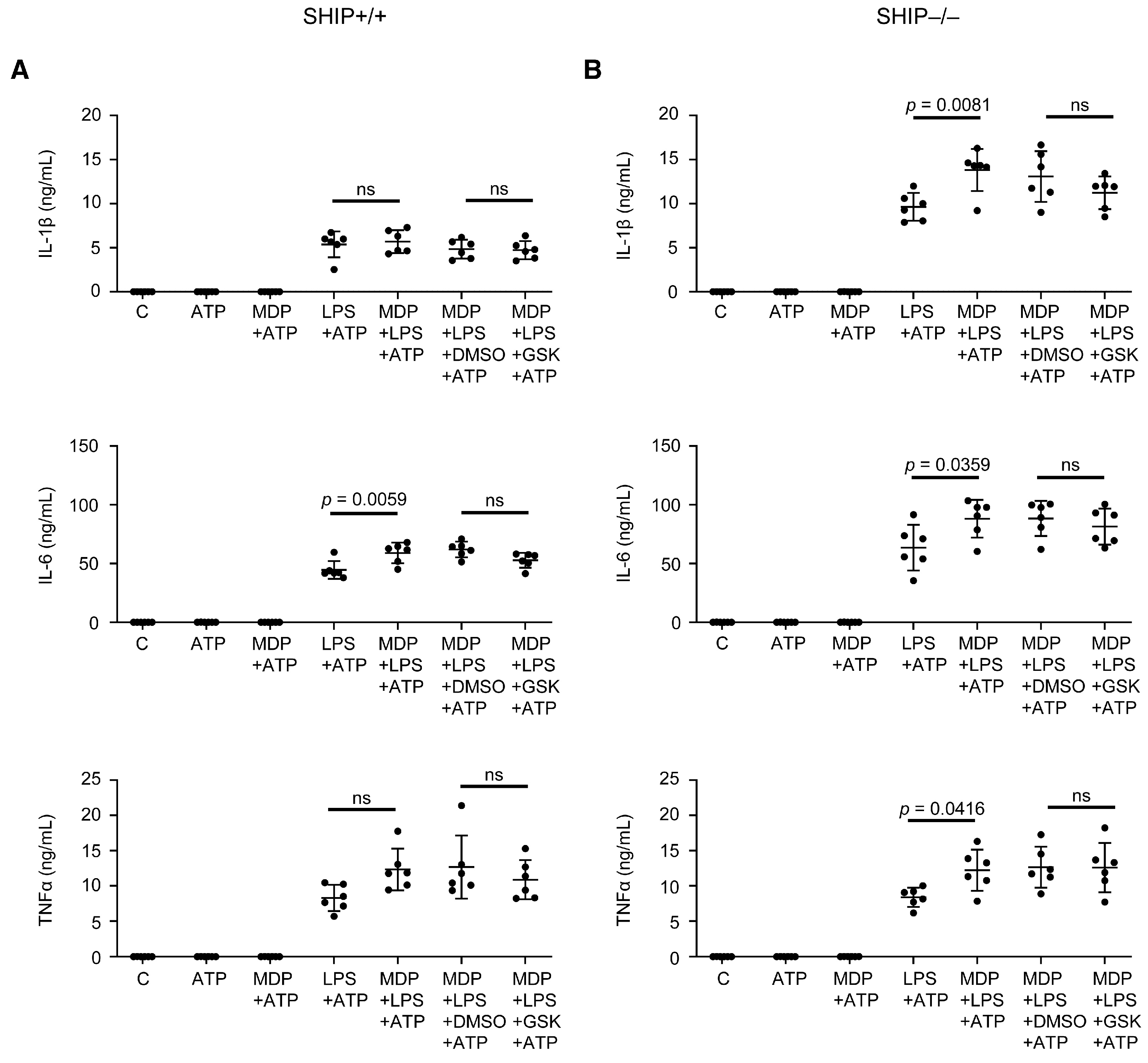 Immuno 05 00037 g007