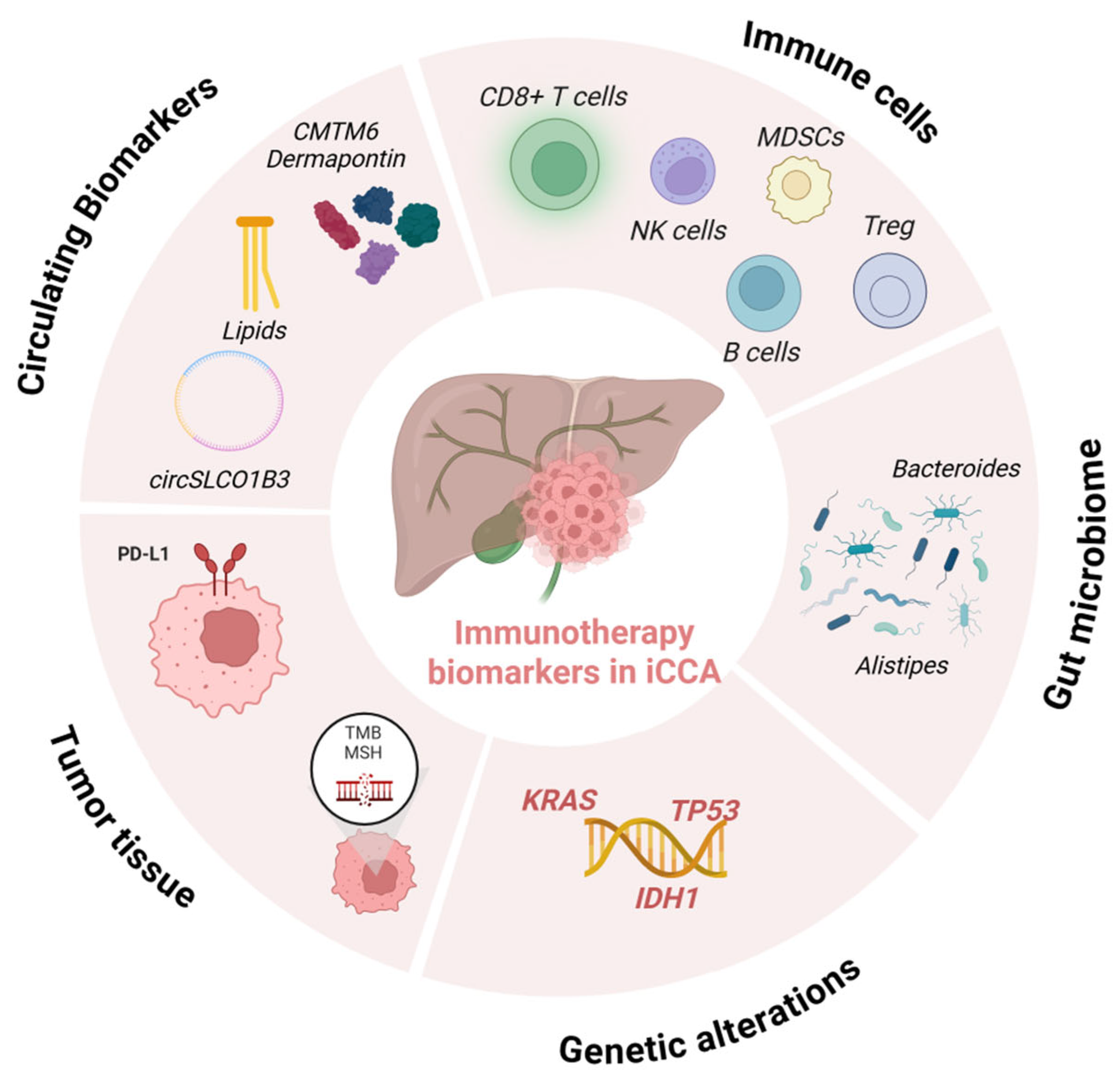 Immuno 05 00040 g002 Immuno 05 00040 g002