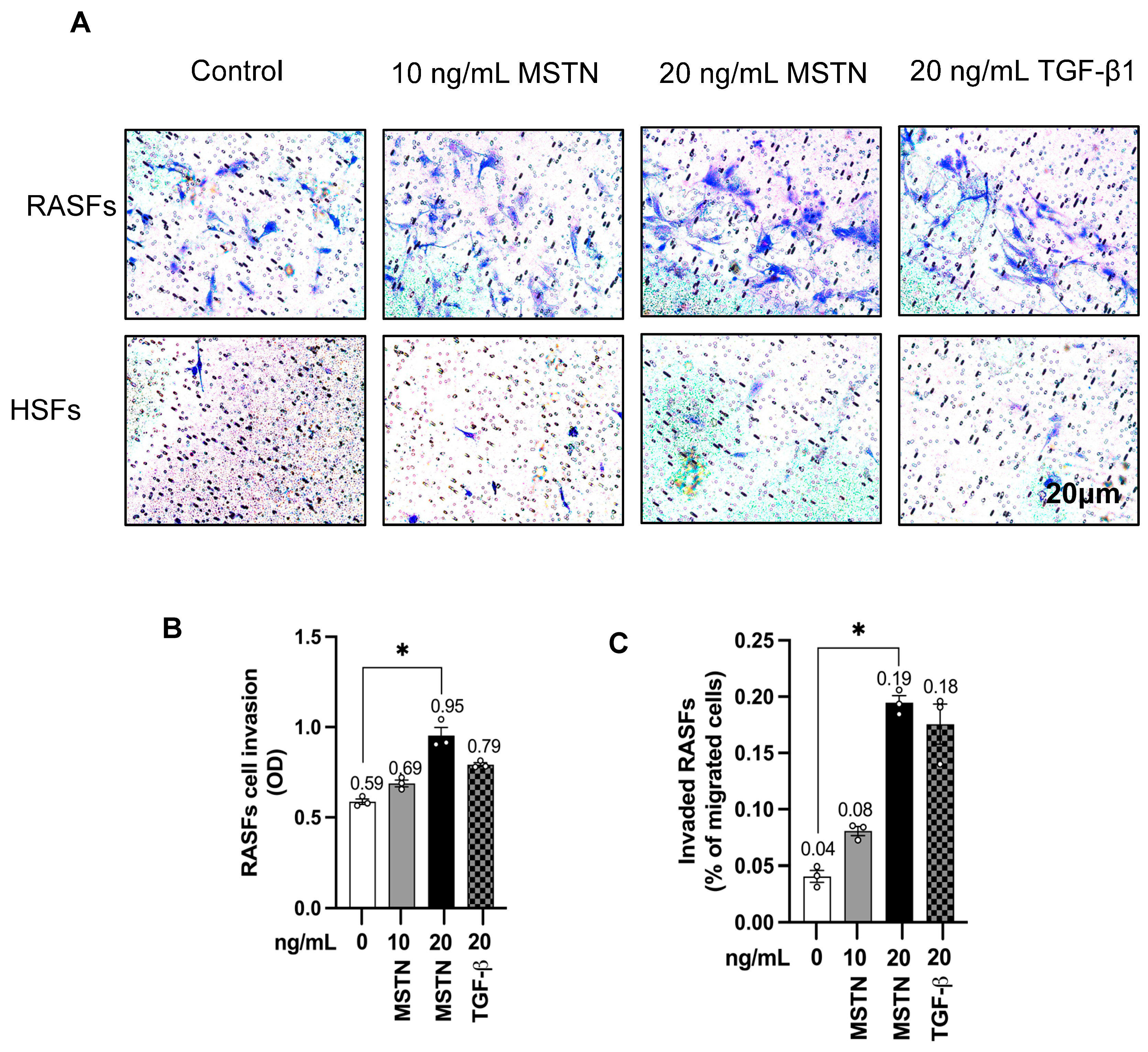 Immuno 05 00042 g008