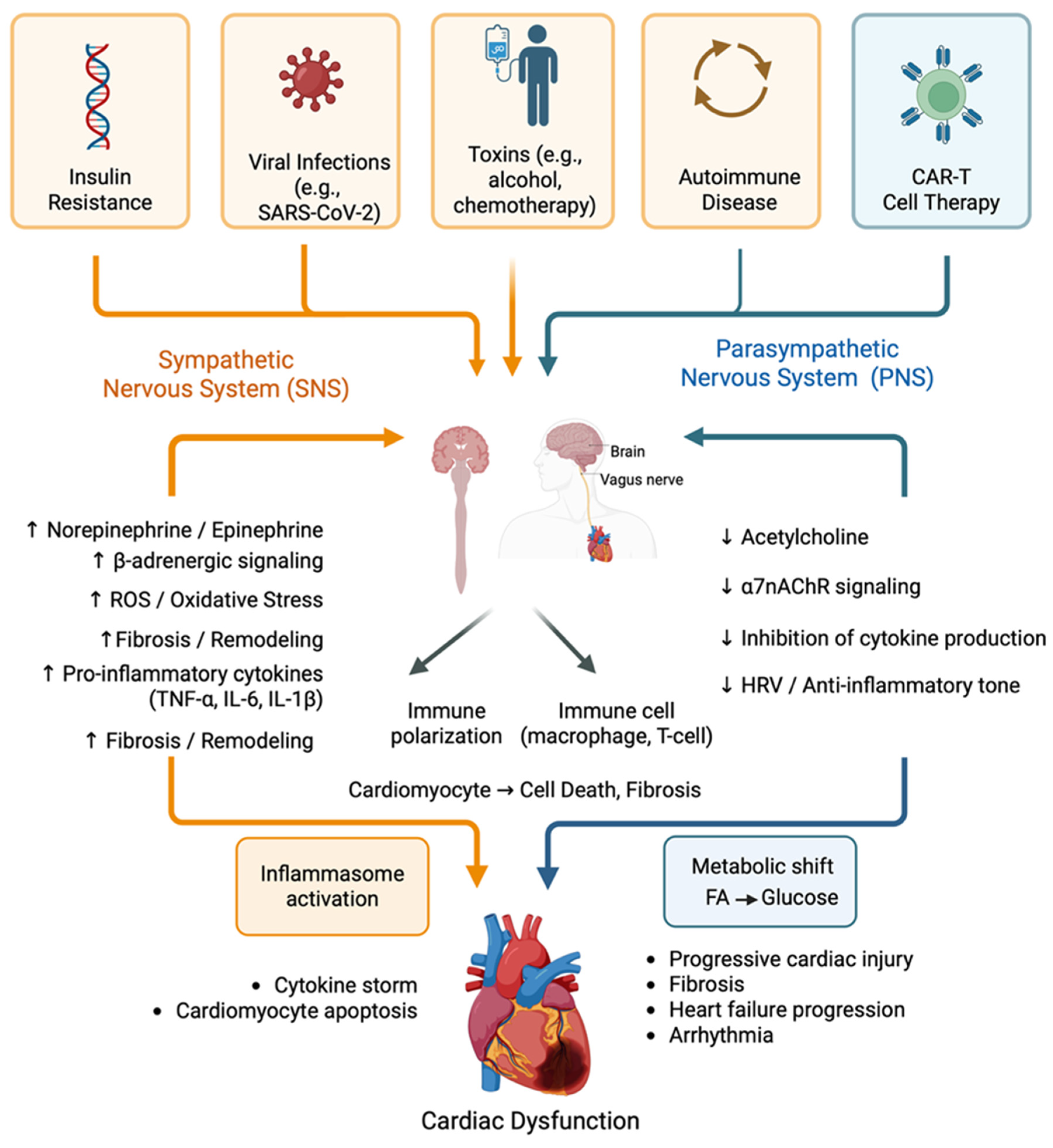 Immuno 05 00045 g002