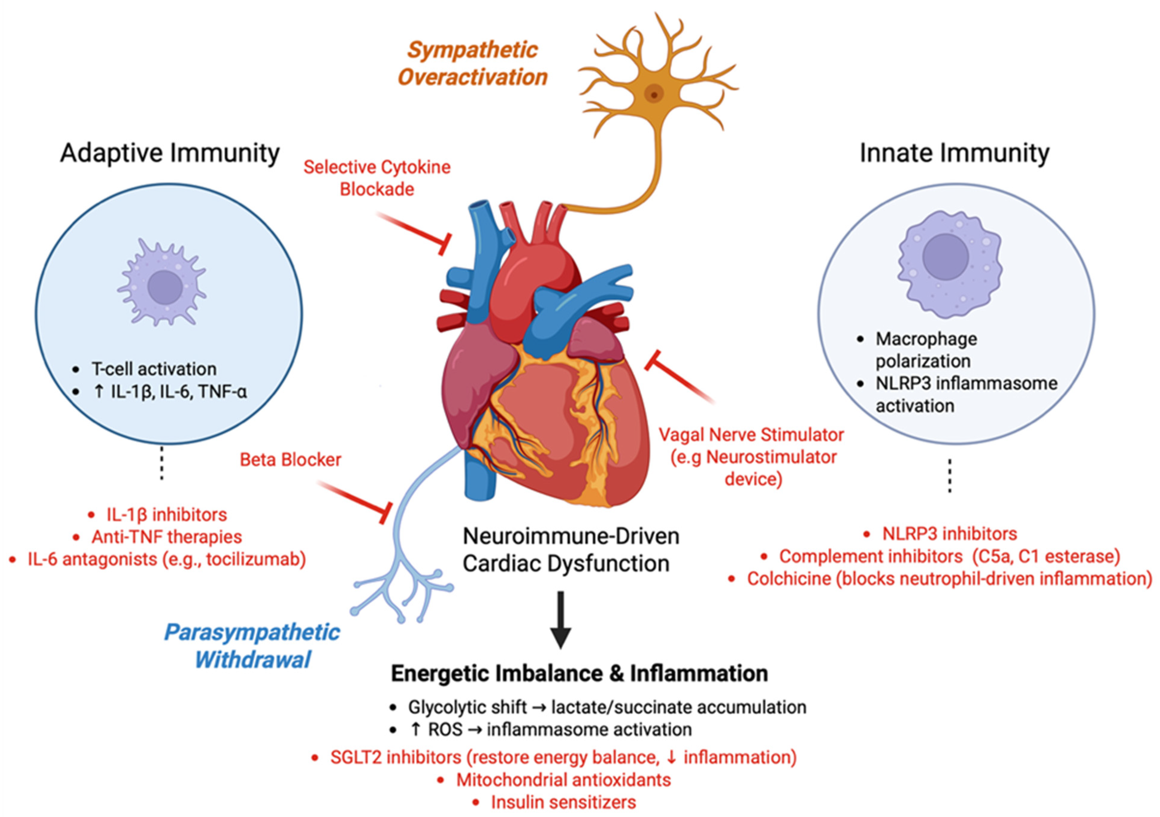 Immuno 05 00045 g004