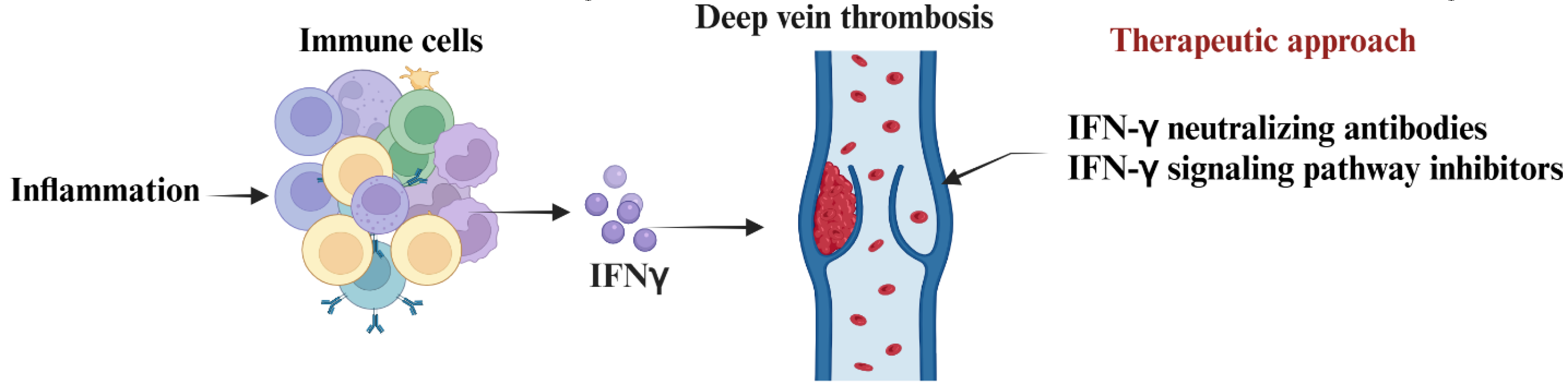 Immuno 05 00046 g002