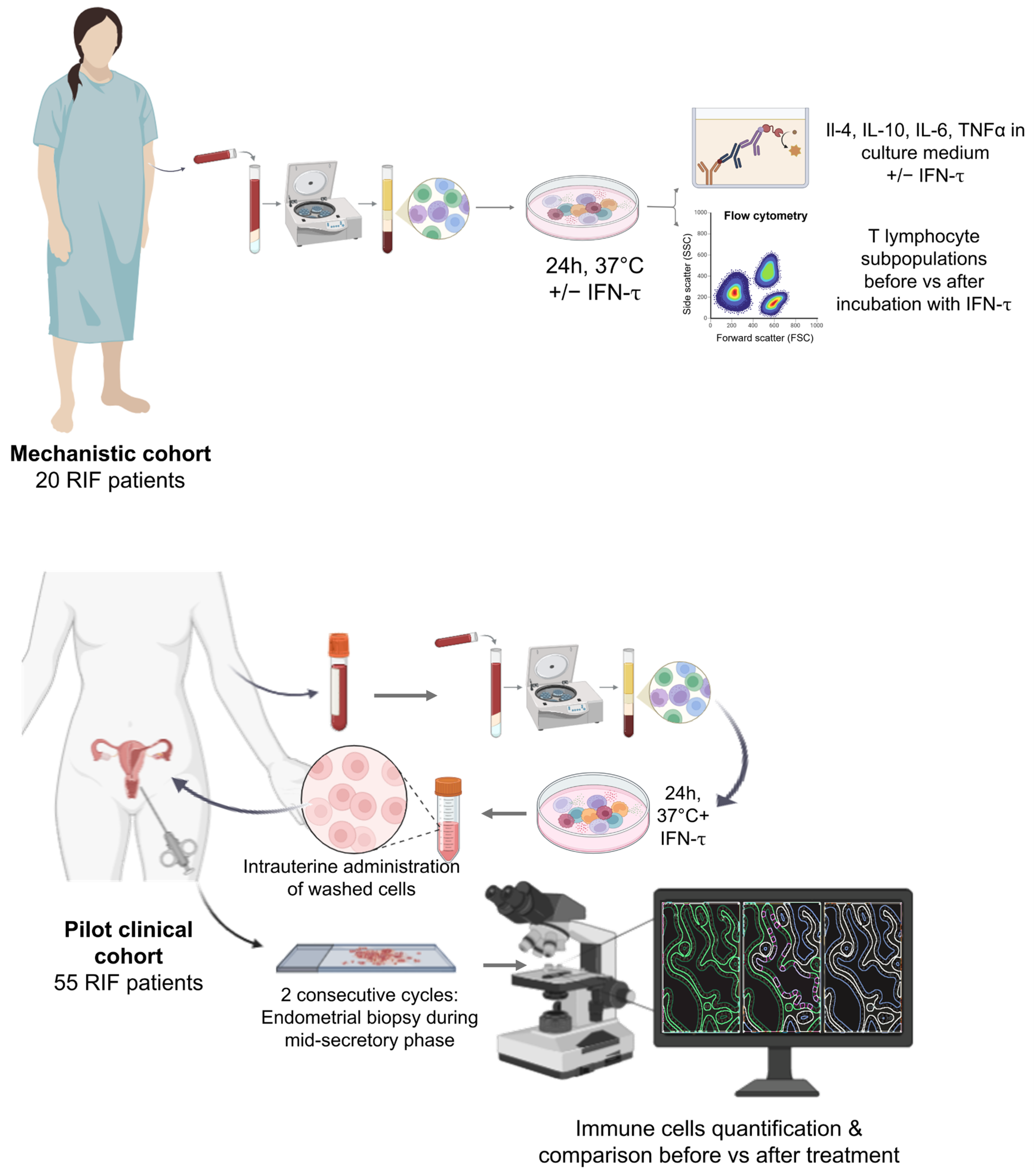 Immuno 05 00051 g001
