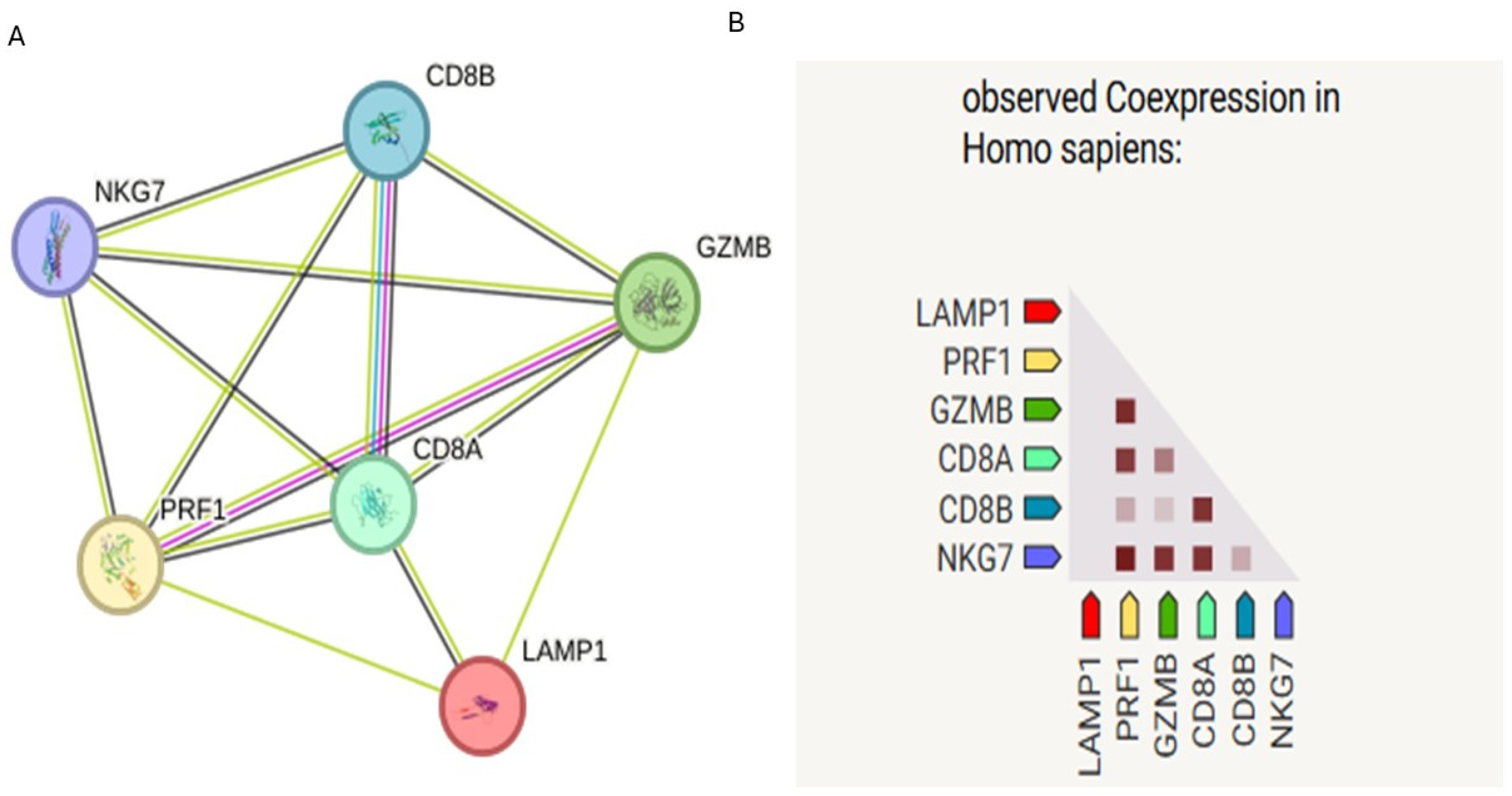 Immuno 05 00056 g001