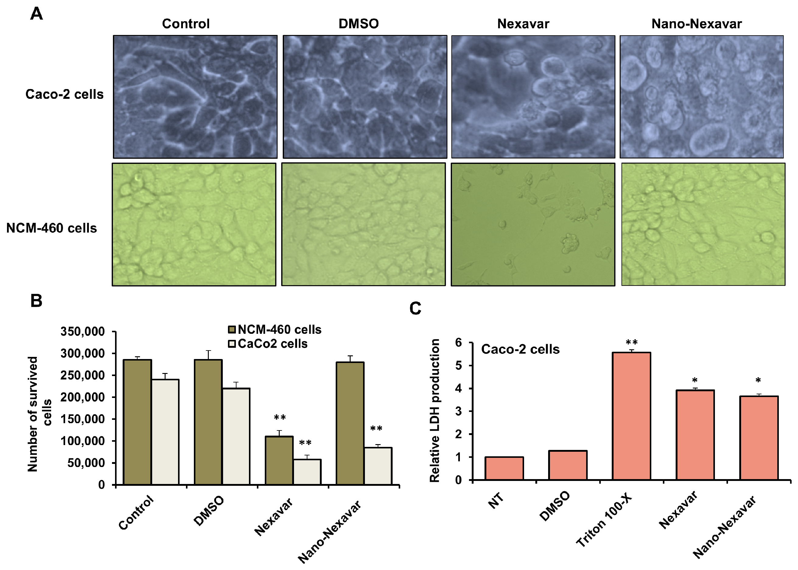 Immuno 06 00005 g003