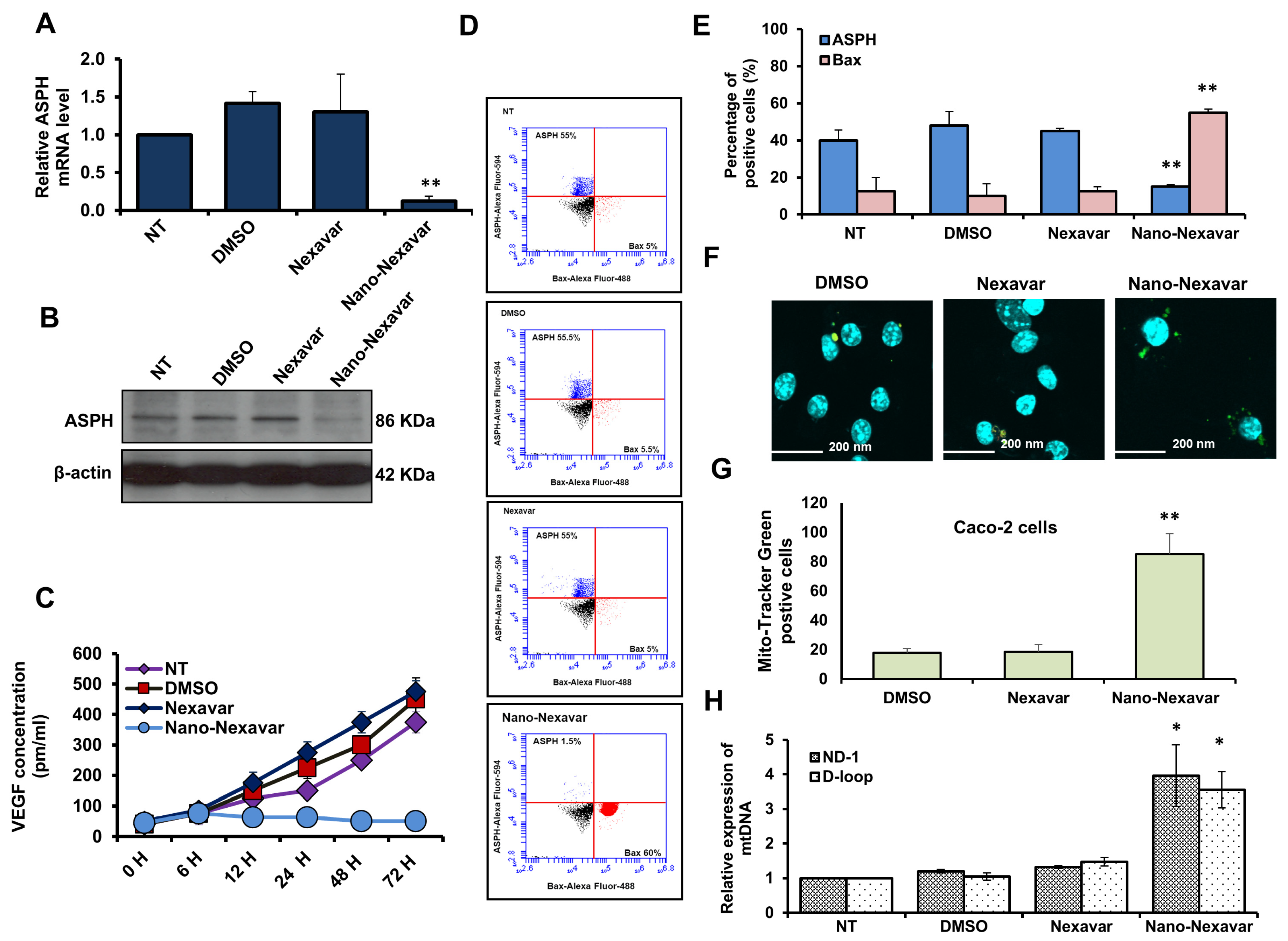Immuno 06 00005 g006