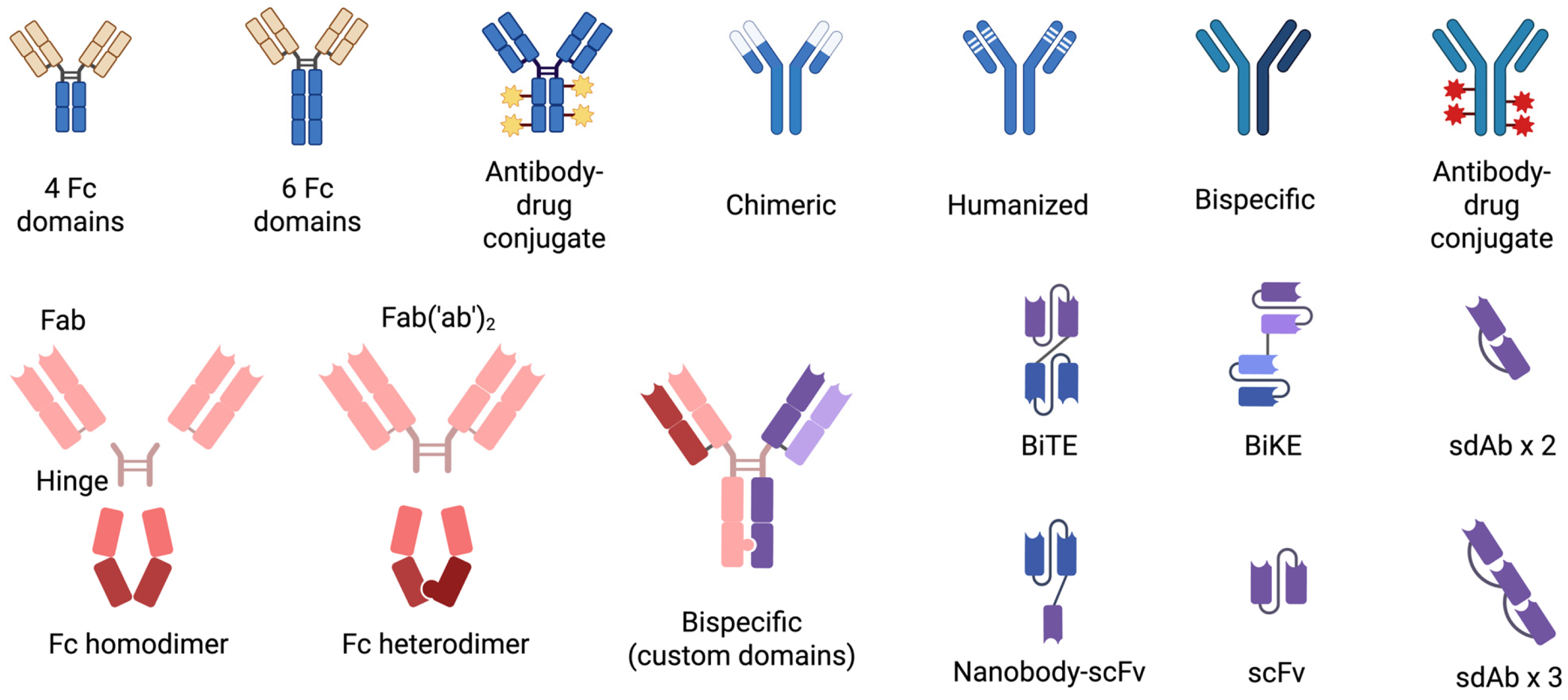 Immuno 06 00023 g001 Immuno 06 00023 g001