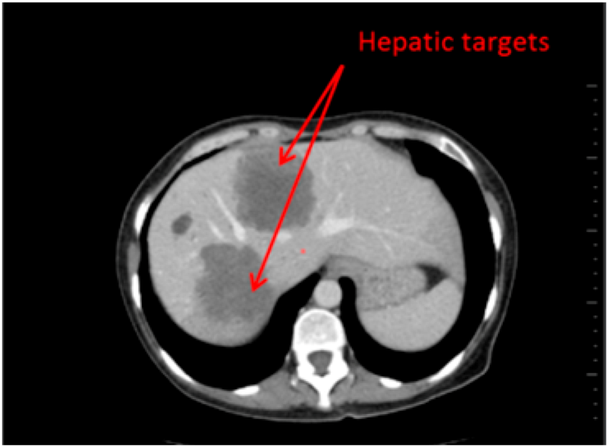 Informatics 01 00160 g001