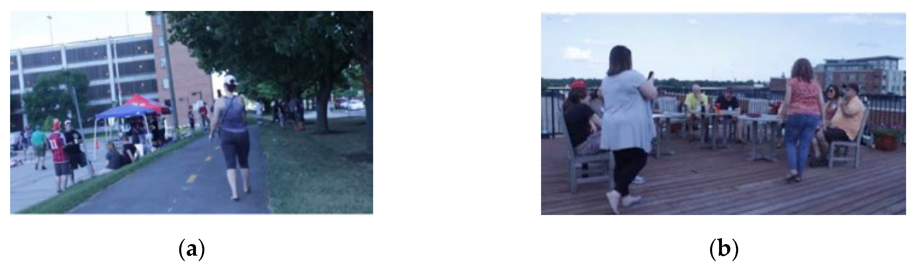 Informatics 07 00010 g001