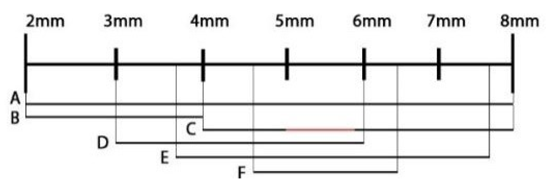 Informatics 08 00064 g001 550