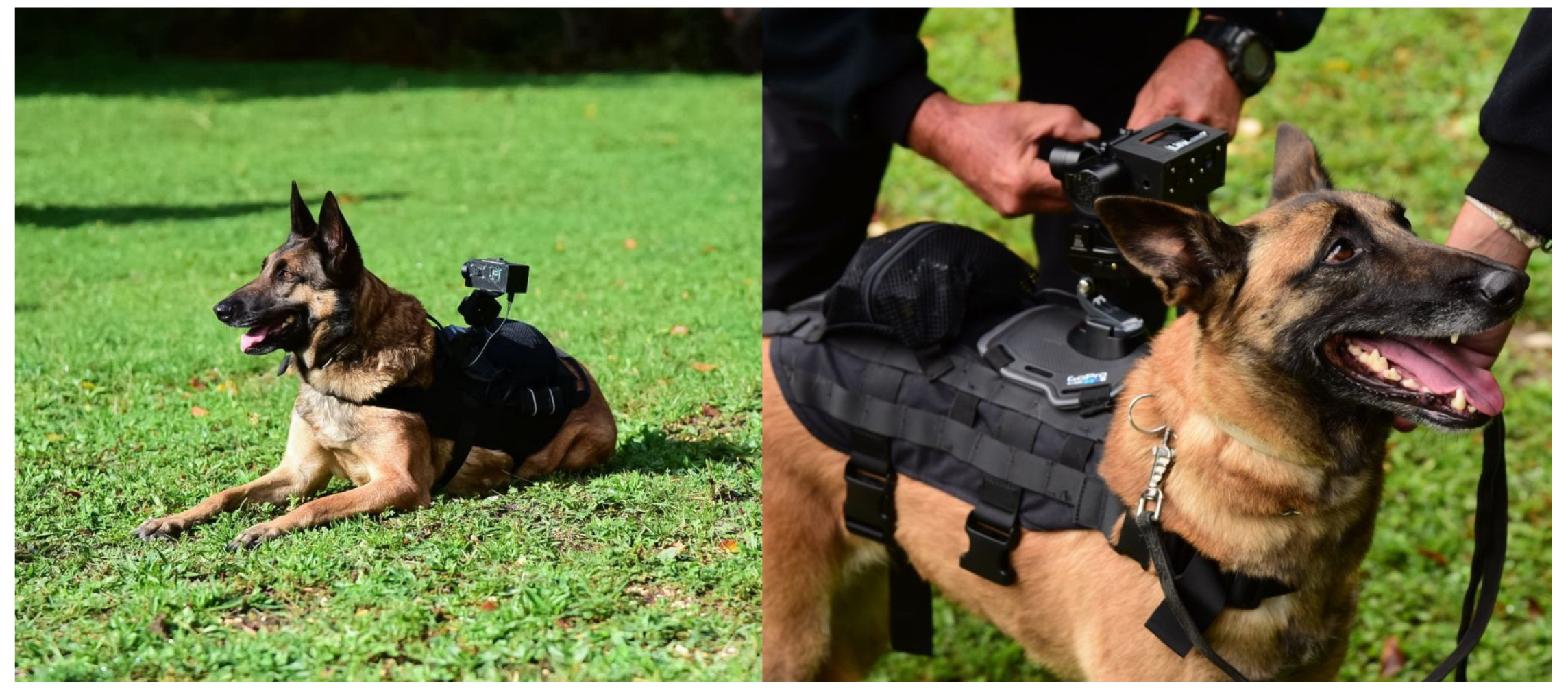 Informatics 09 00002 g002 550