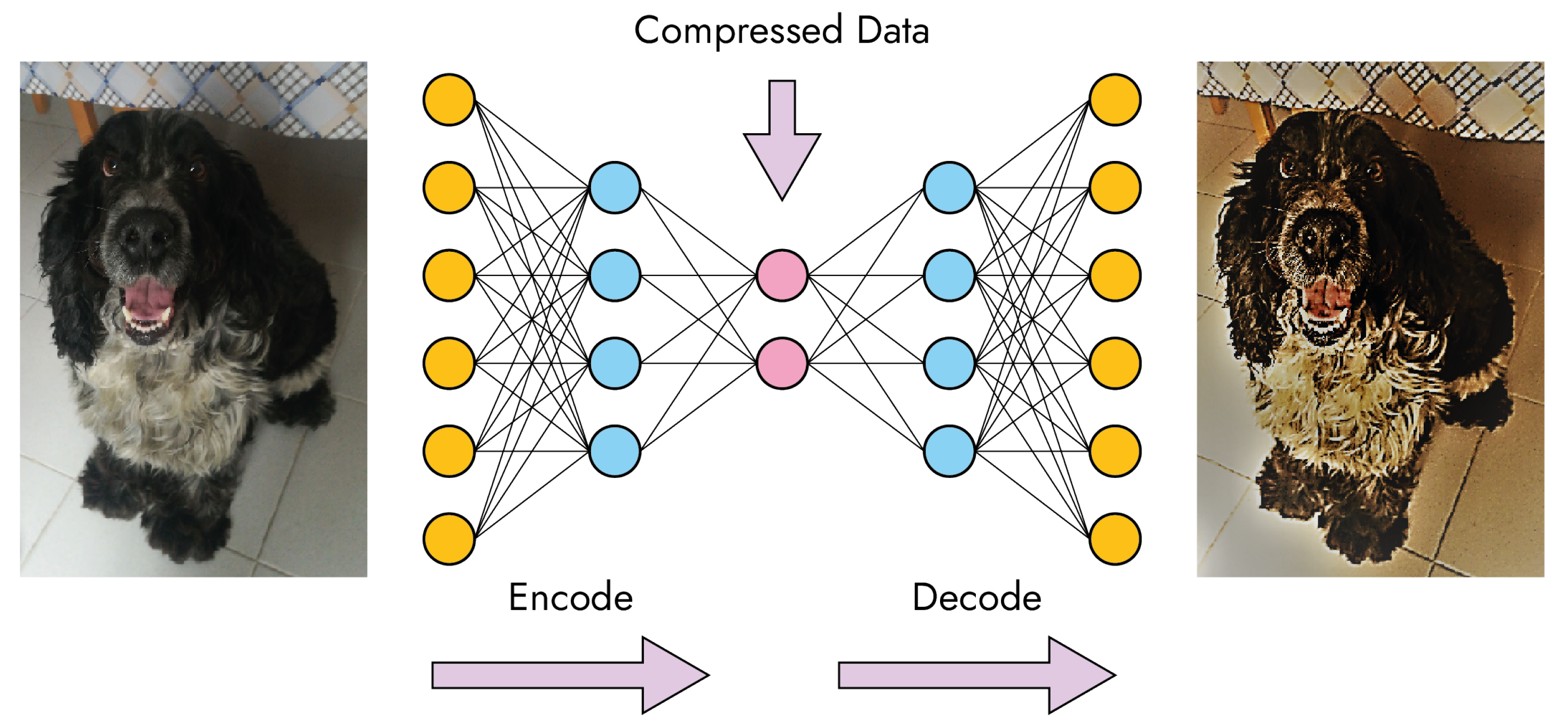 Informatics 09 00029 g004 550