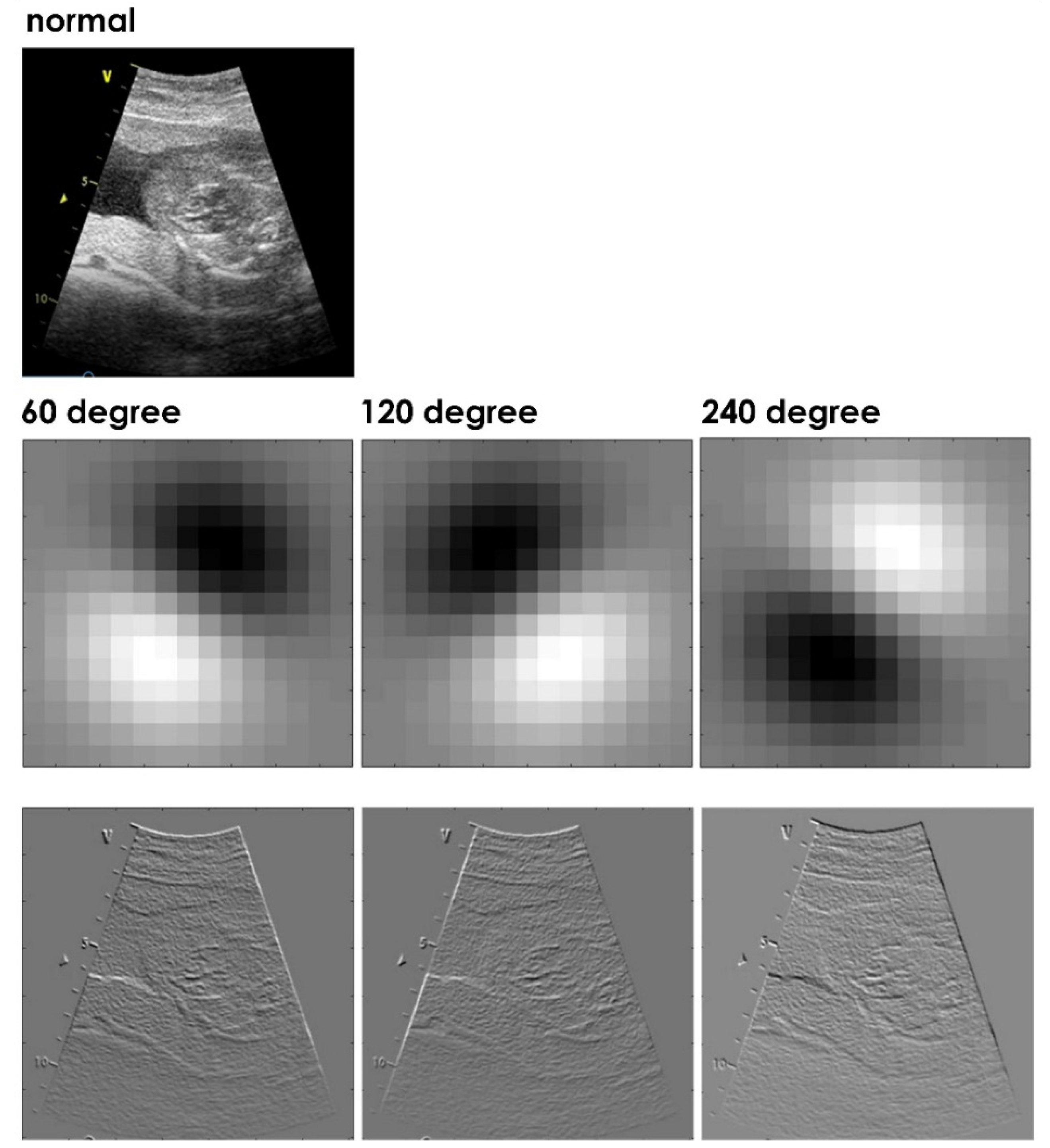 Informatics 09 00034 g005