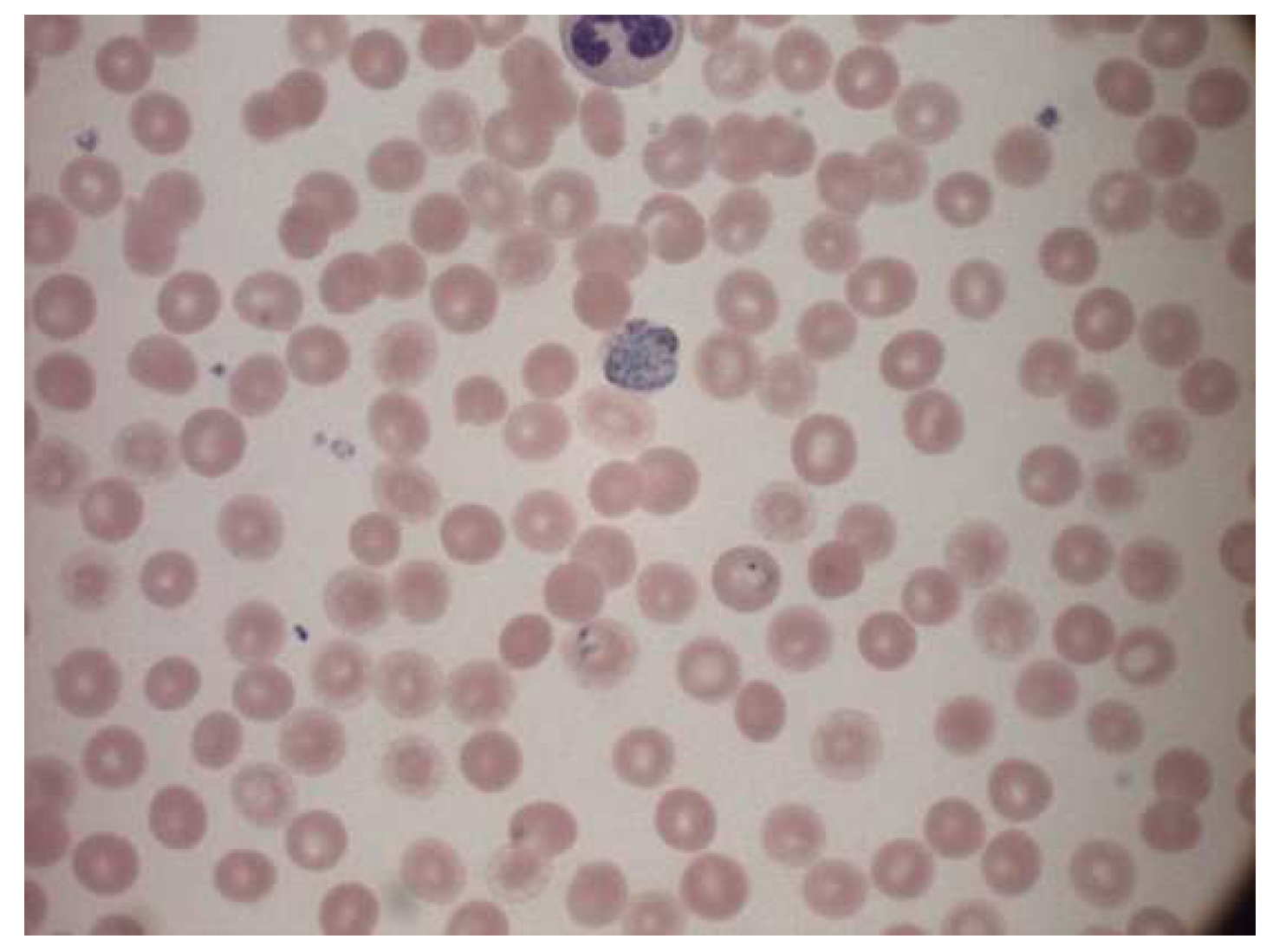 Informatics 09 00076 g004