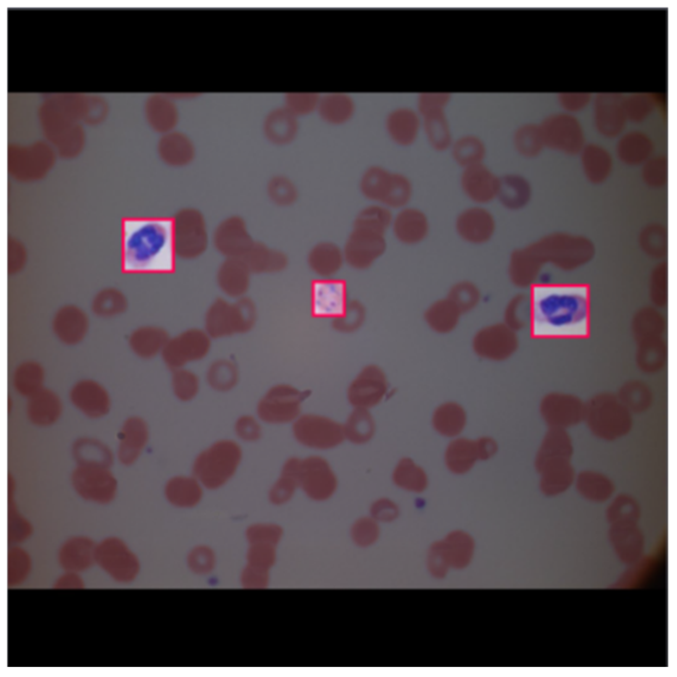 Informatics 09 00076 g006