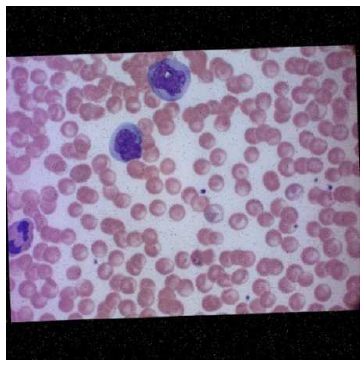 Informatics 09 00076 g007