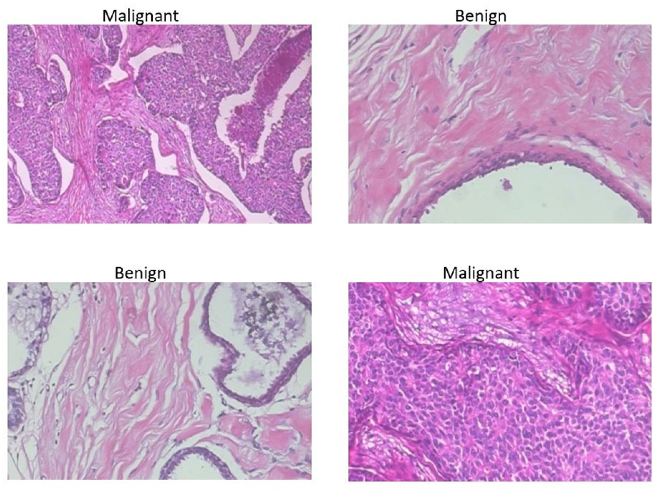 Informatics 09 00091 g008