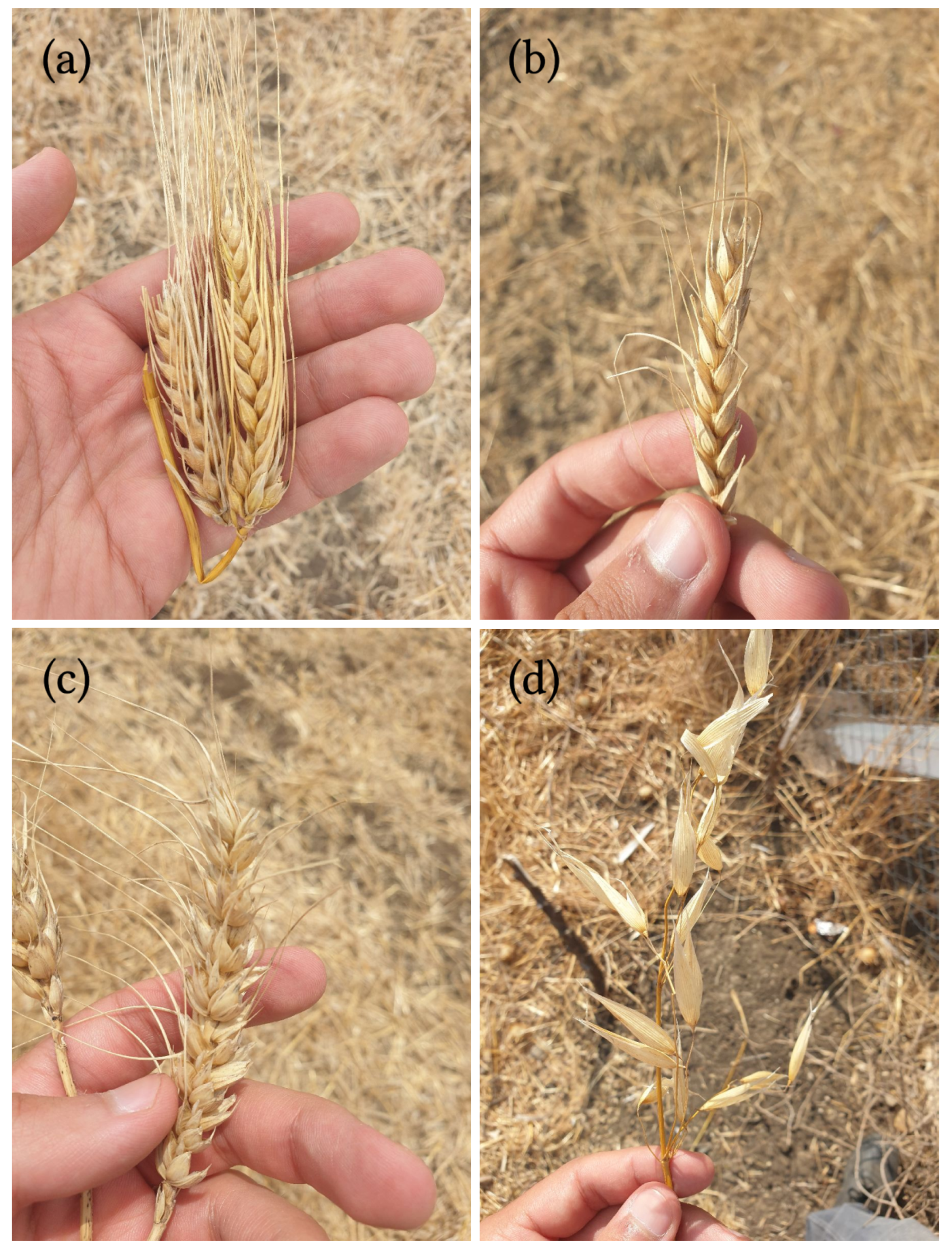 Informatics 09 00096 g002