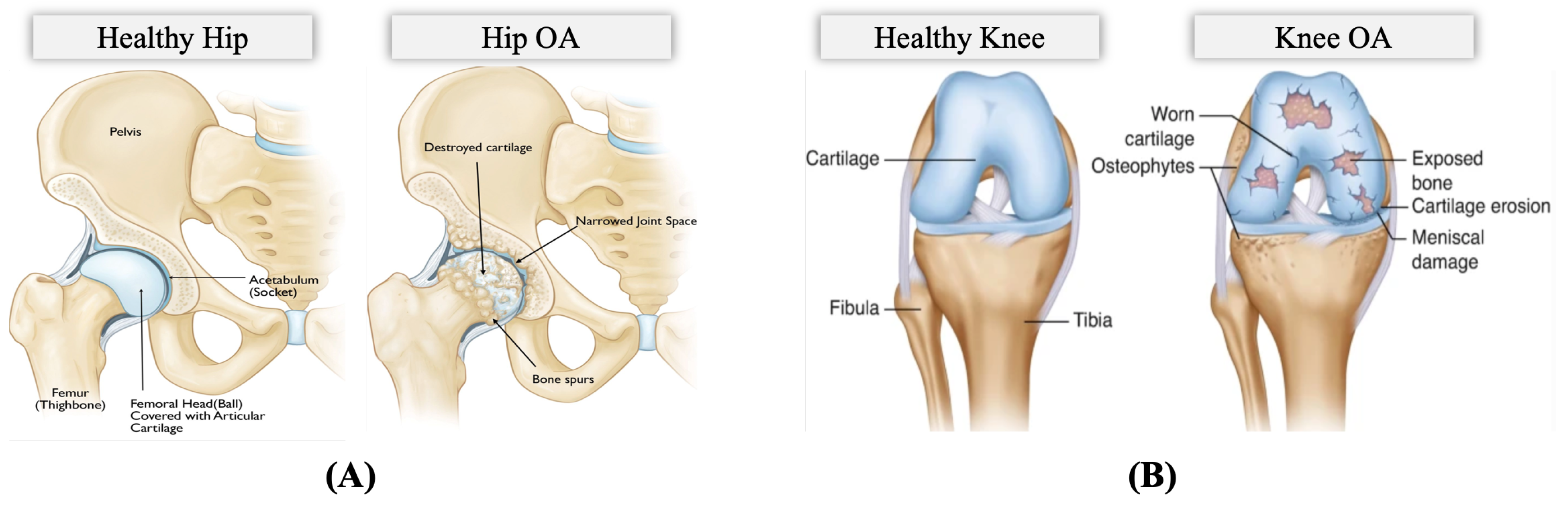 Informatics 09 00097 g002 Informatics 09 00097 g002