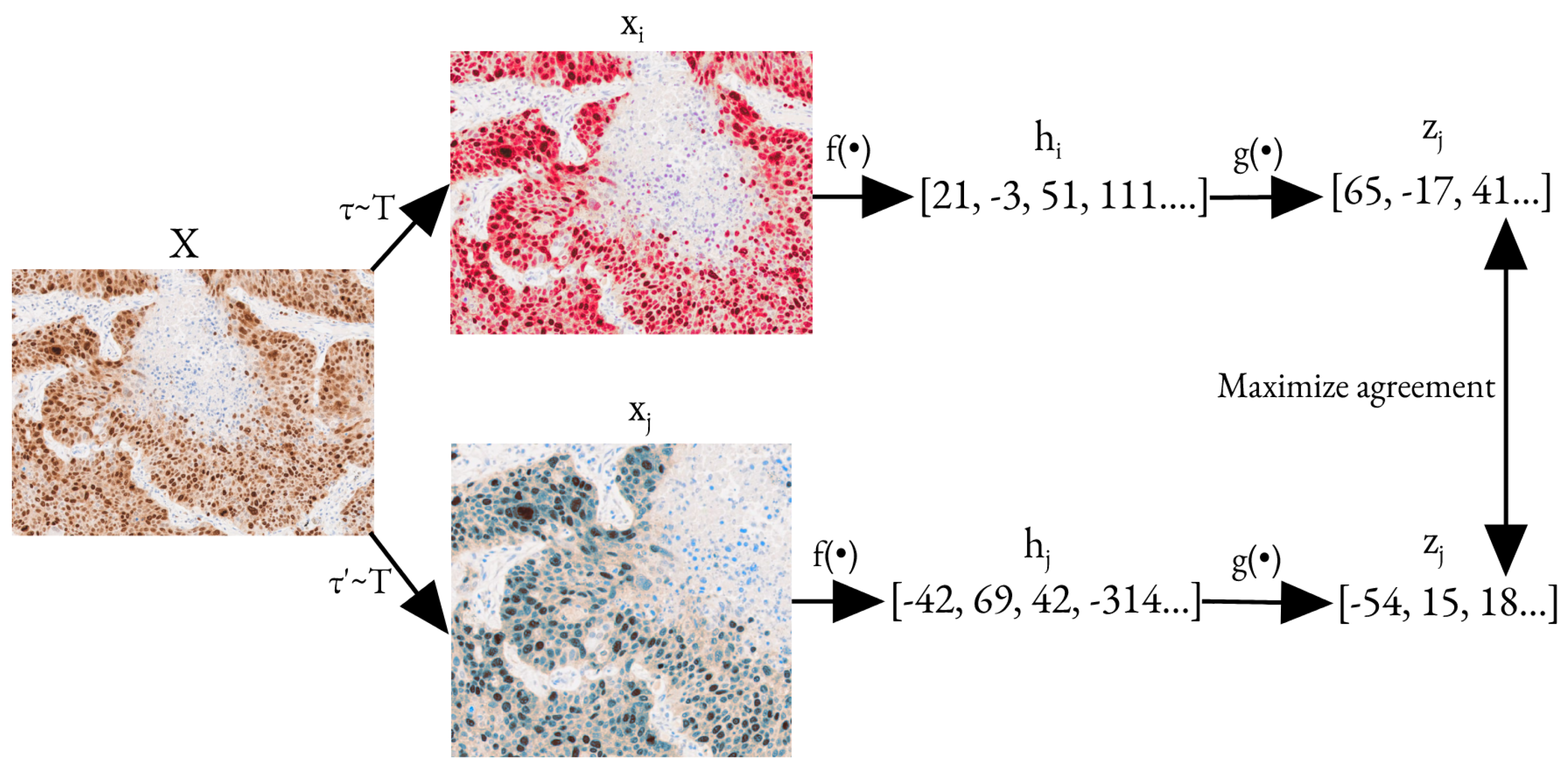 Informatics 10 00090 g003