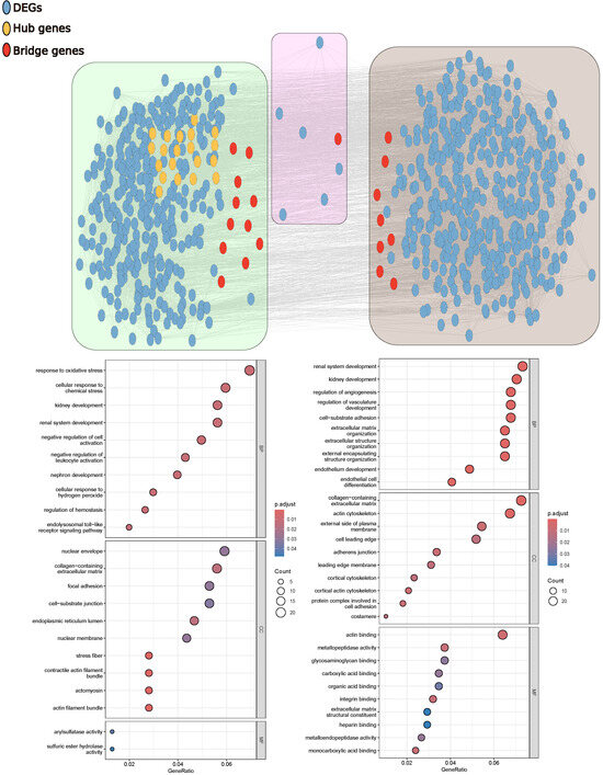 Computational Ensemble Gene Co-Expression Networks for the