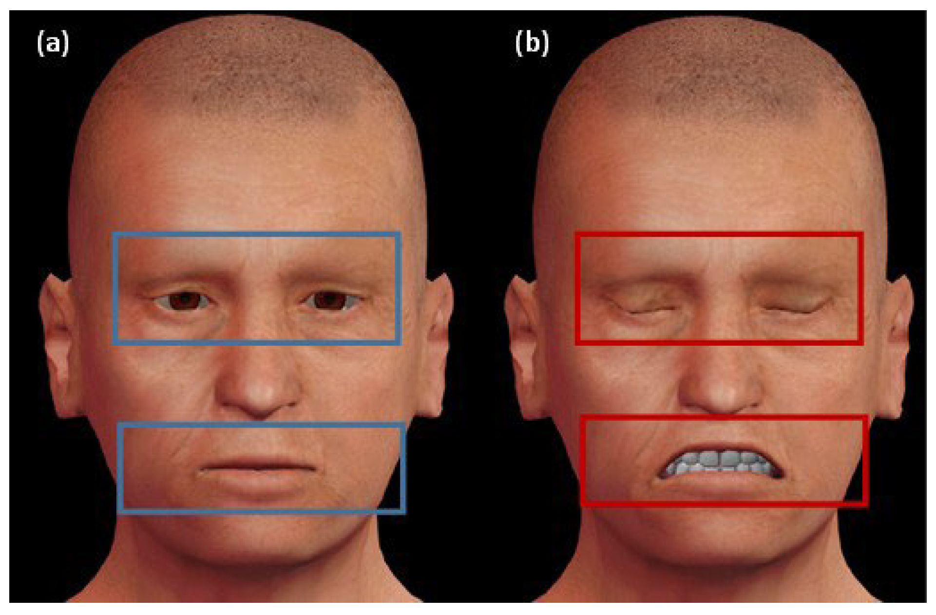 Informatics 11 00059 g001