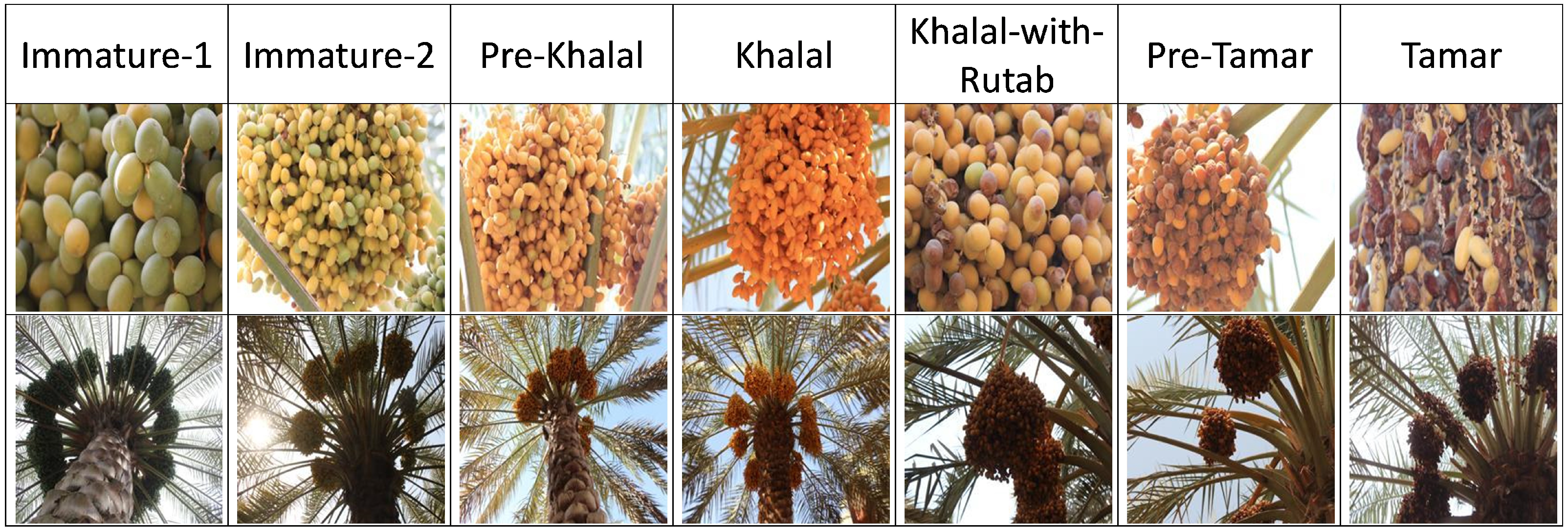 Informatics 11 00067 g005