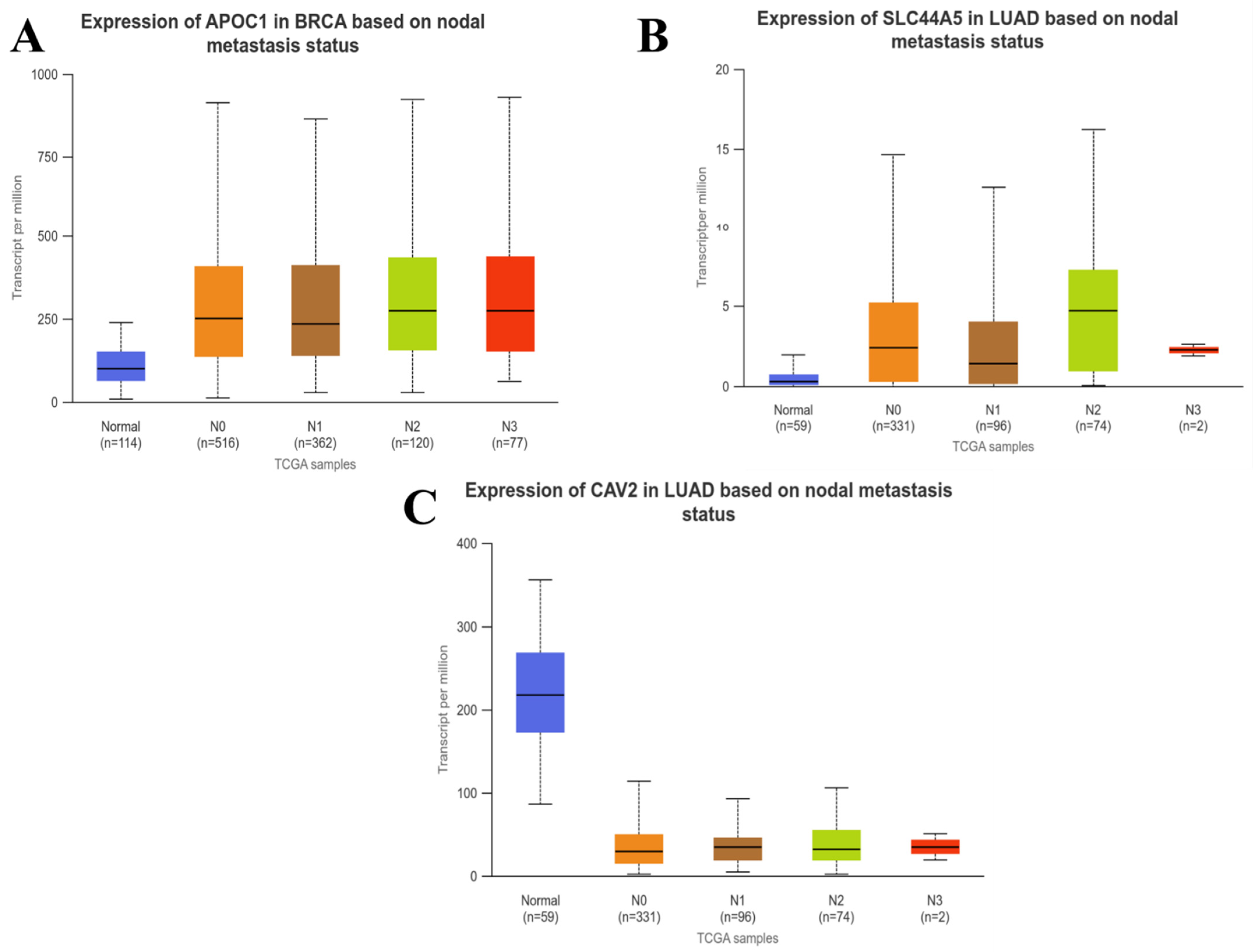 Informatics 11 00095 g005