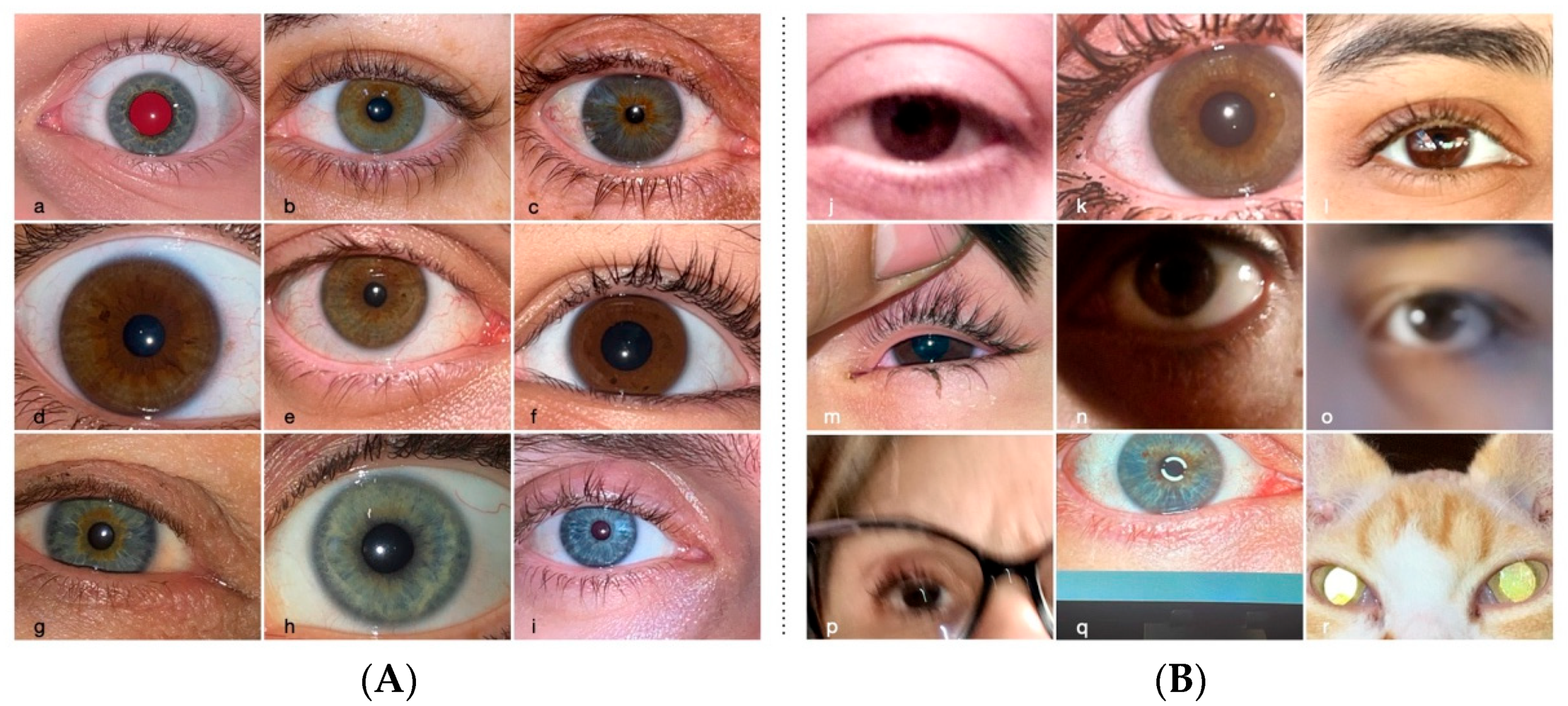 Informatics 12 00002 g002