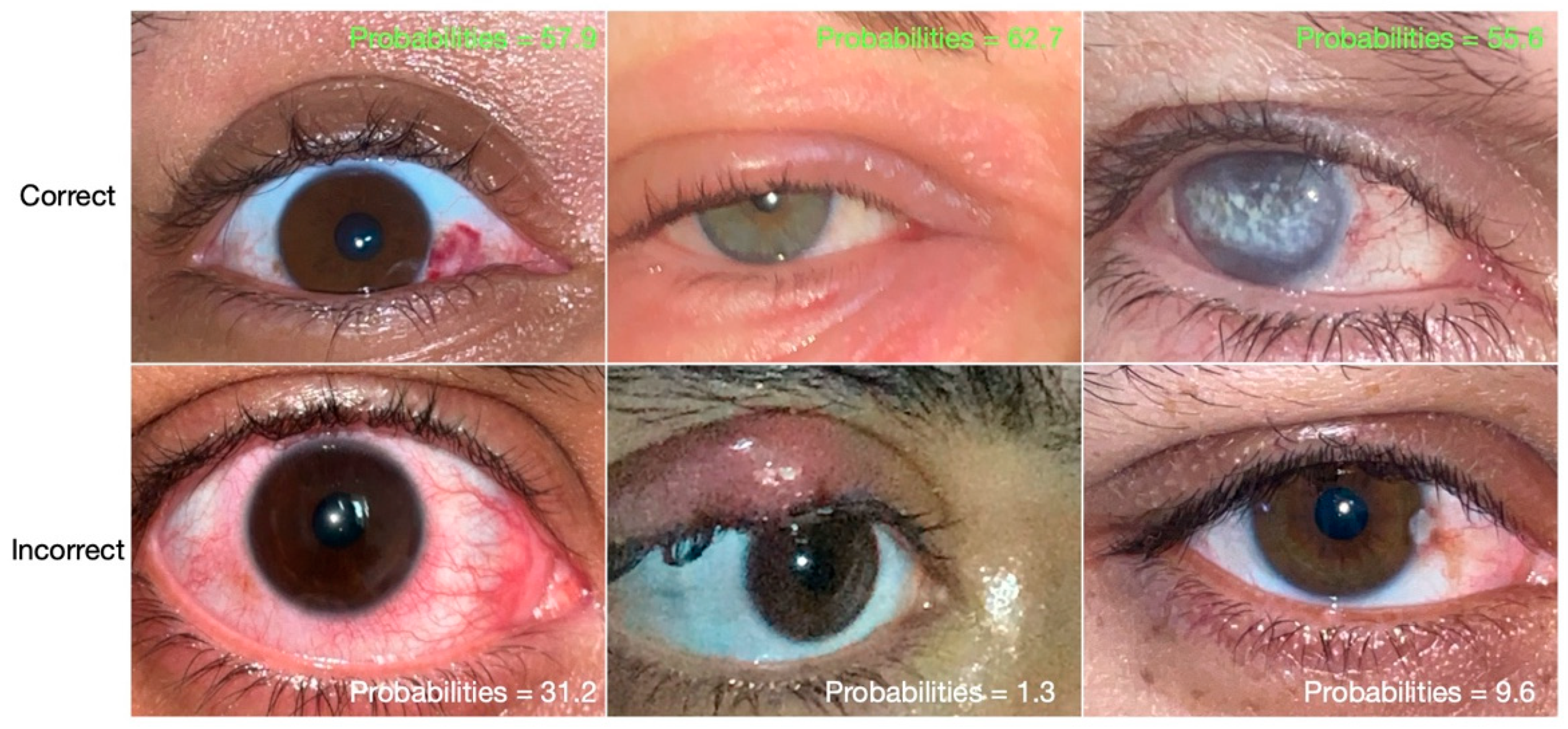 Informatics 12 00002 g006