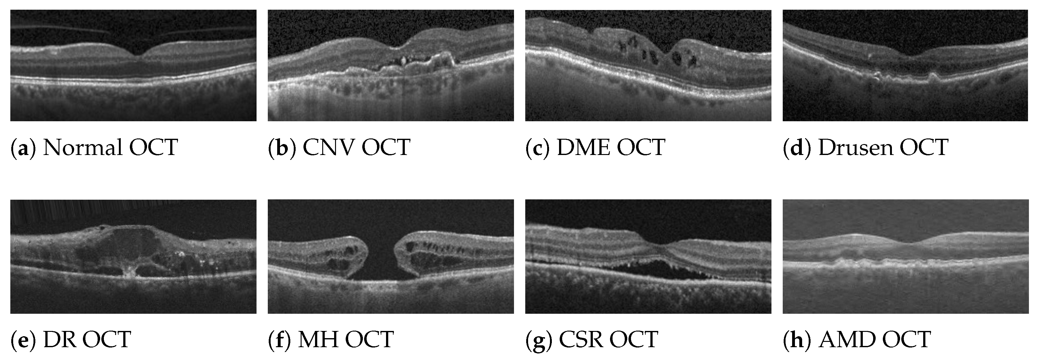Informatics 12 00128 g001