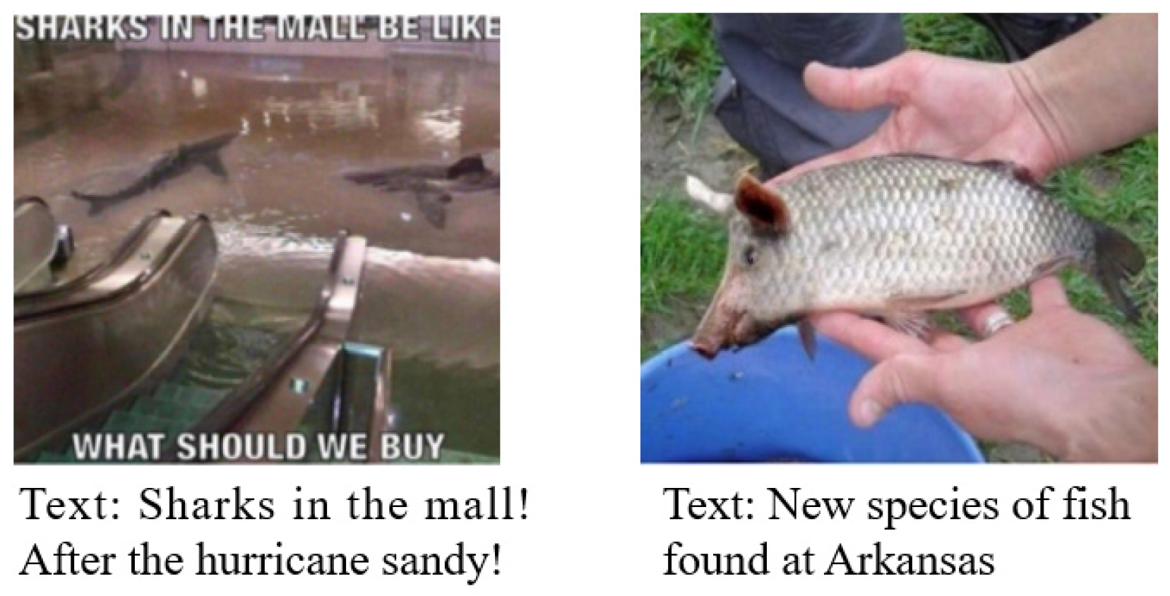 Informatics 12 00129 g001 Informatics 12 00129 g001