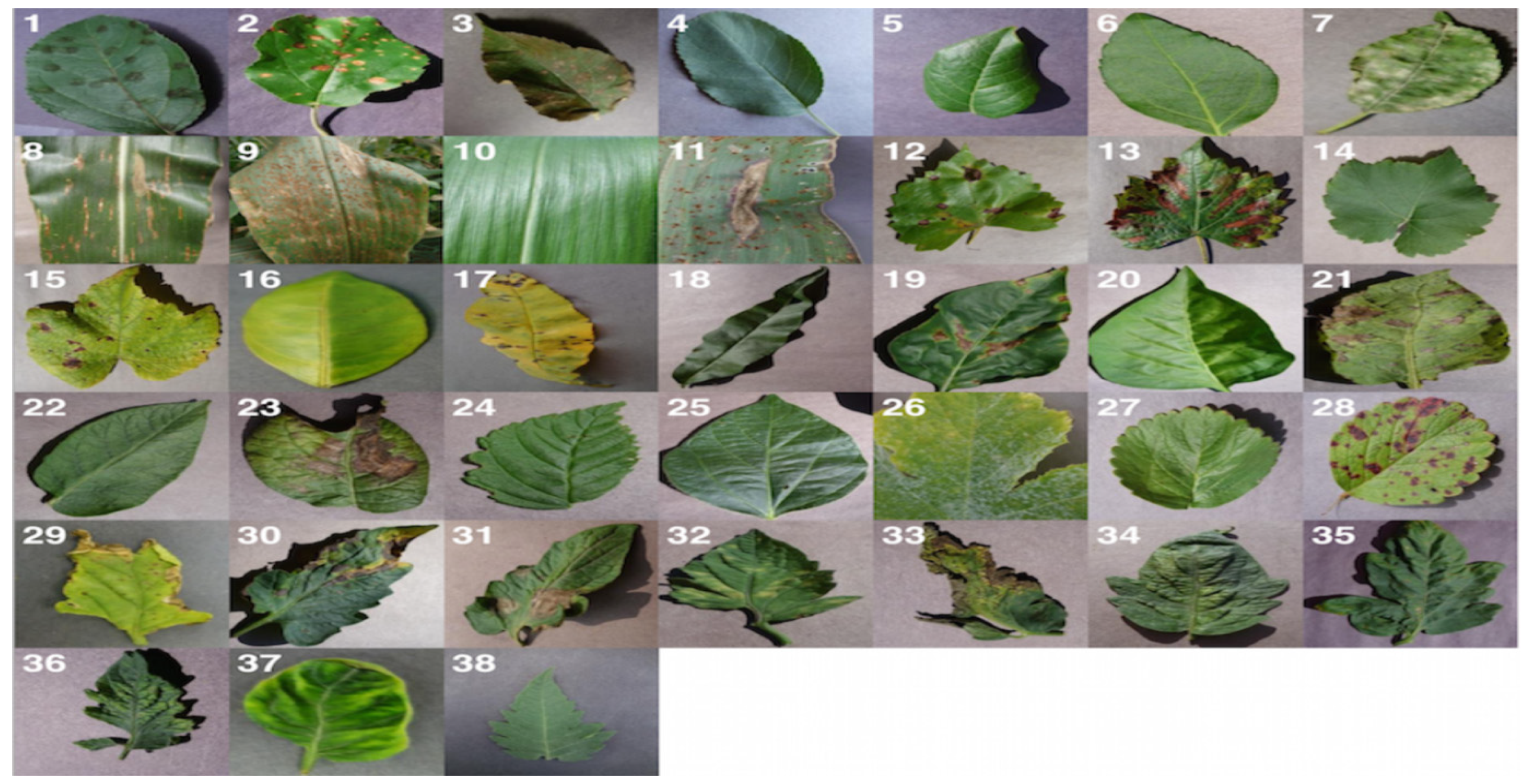 Informatics 12 00138 g001 Informatics 12 00138 g001