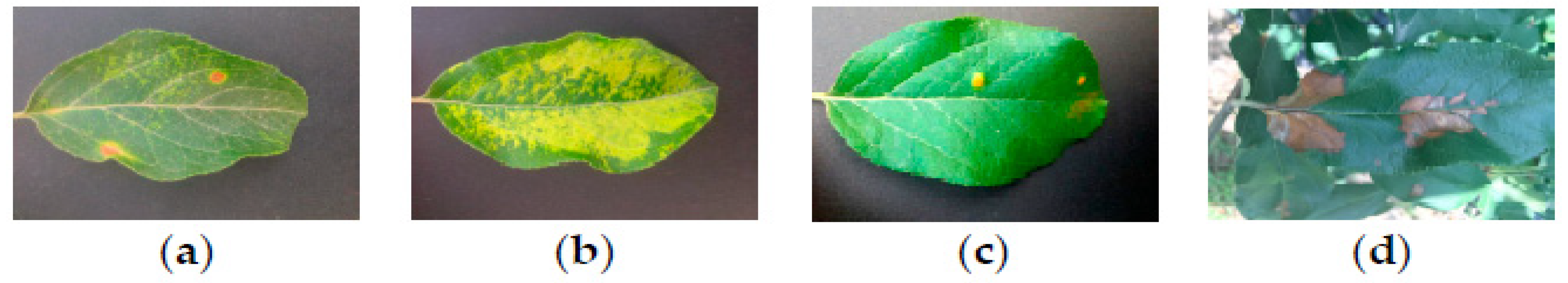 Informatics 12 00138 g002 Informatics 12 00138 g002