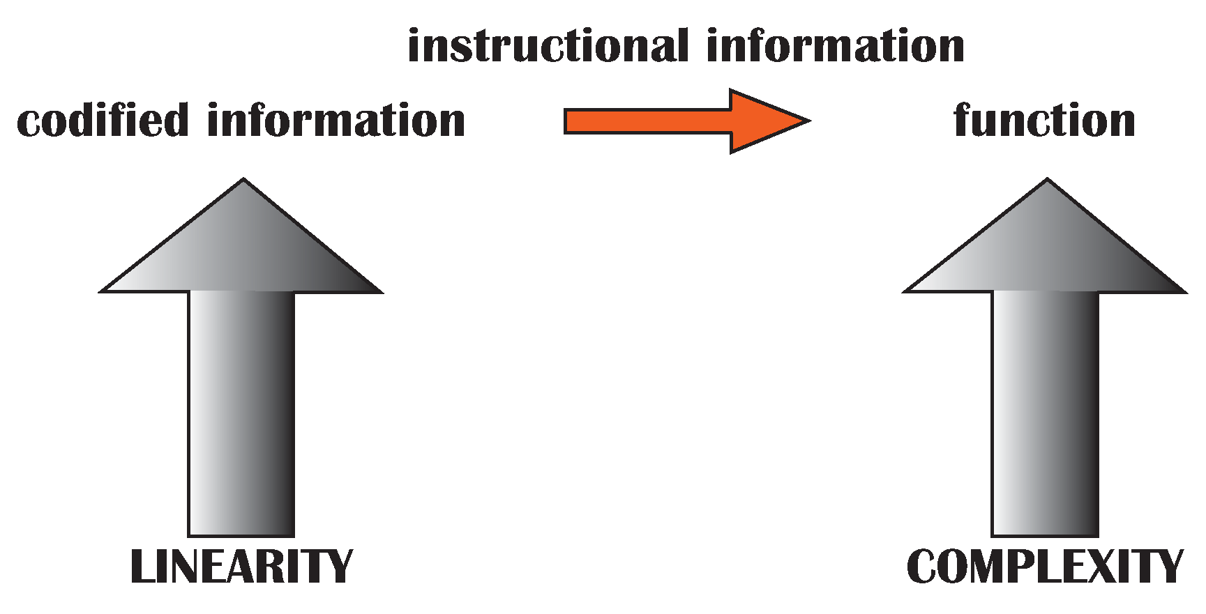Information 01 00028 g008