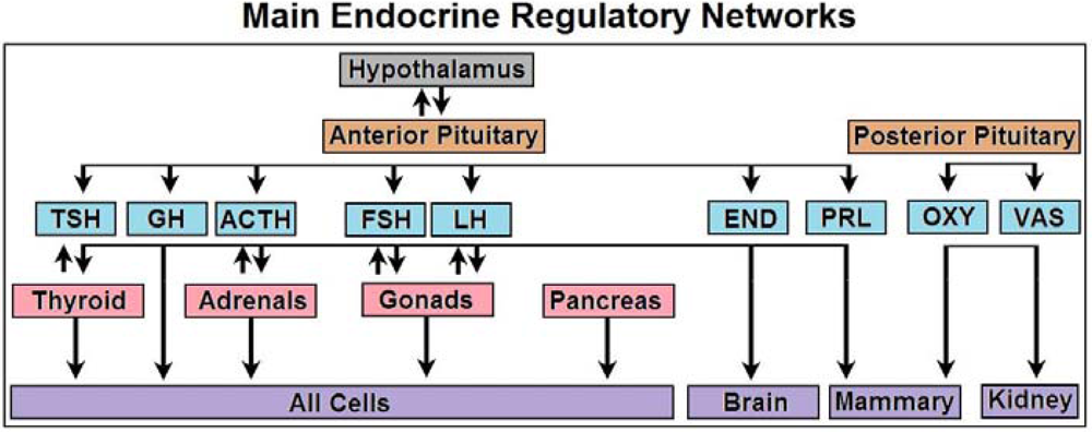 Information 02 00117f12 1024