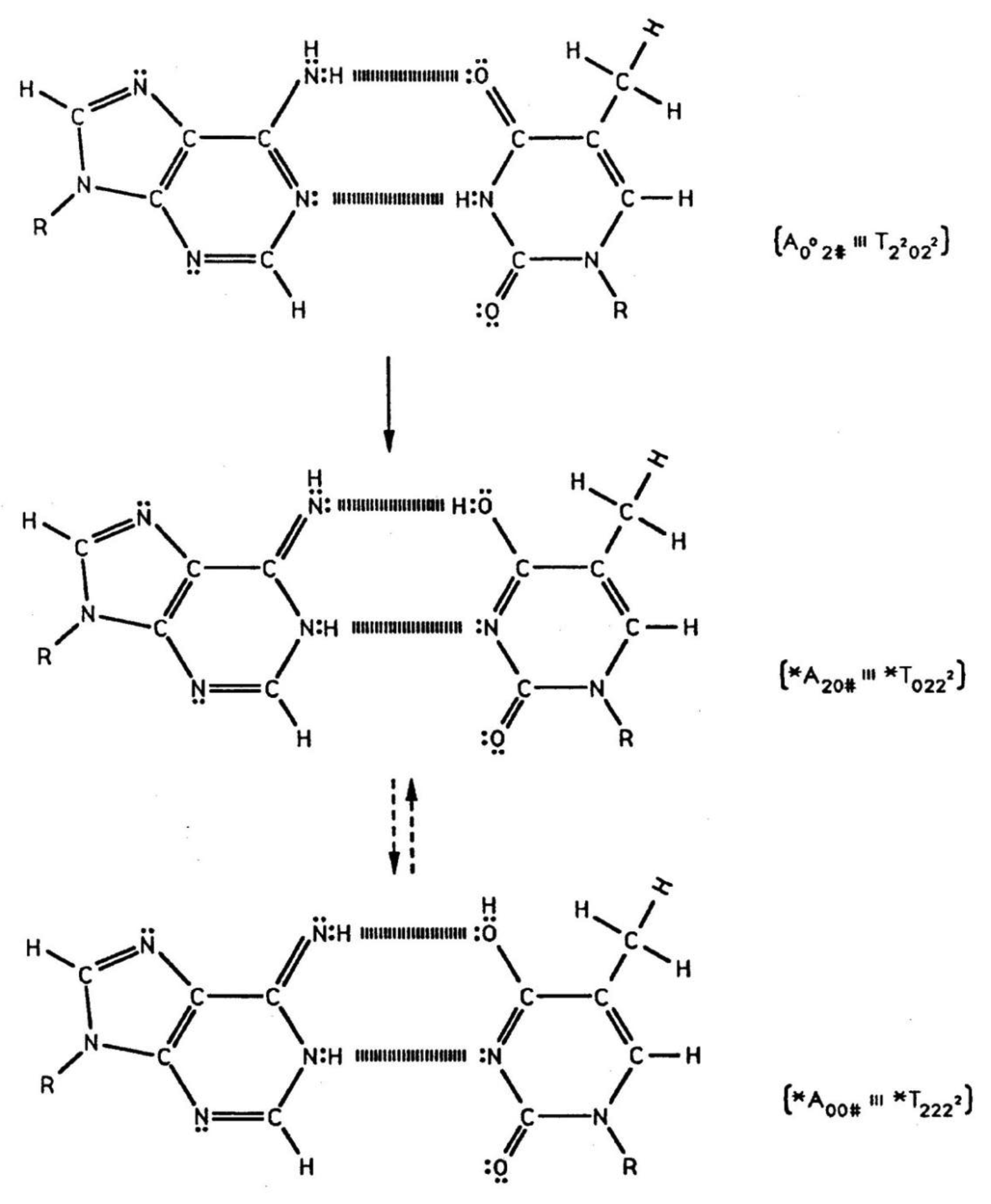 Information 02 00166f3 1024
