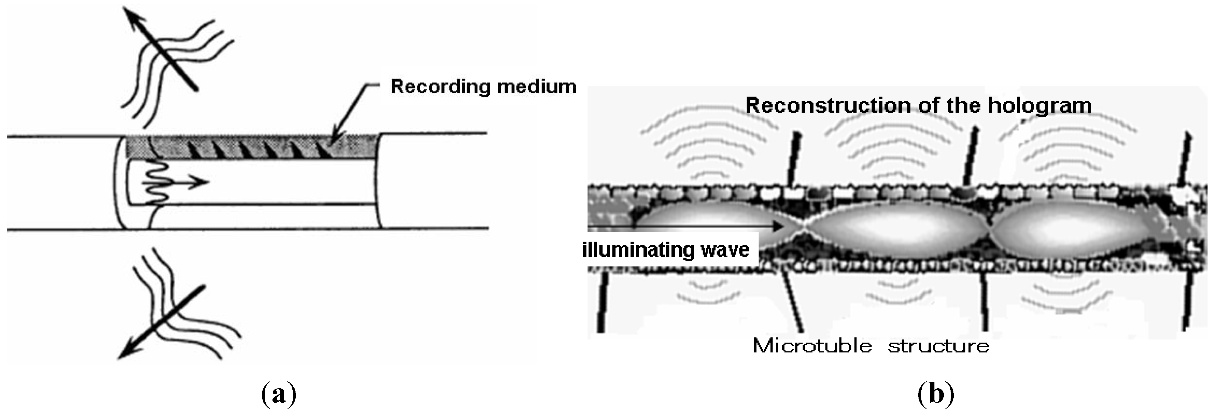 Information 03 00344 g003 1024