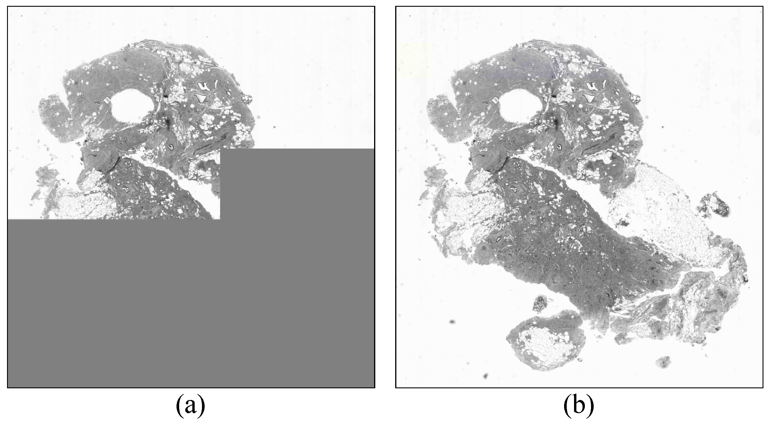 Information 07 00045 g008 1024