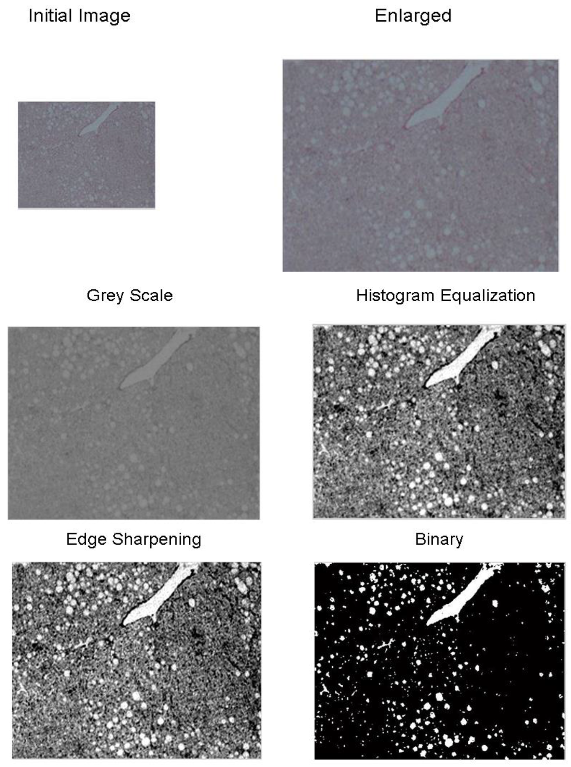 Information 08 00036 g003