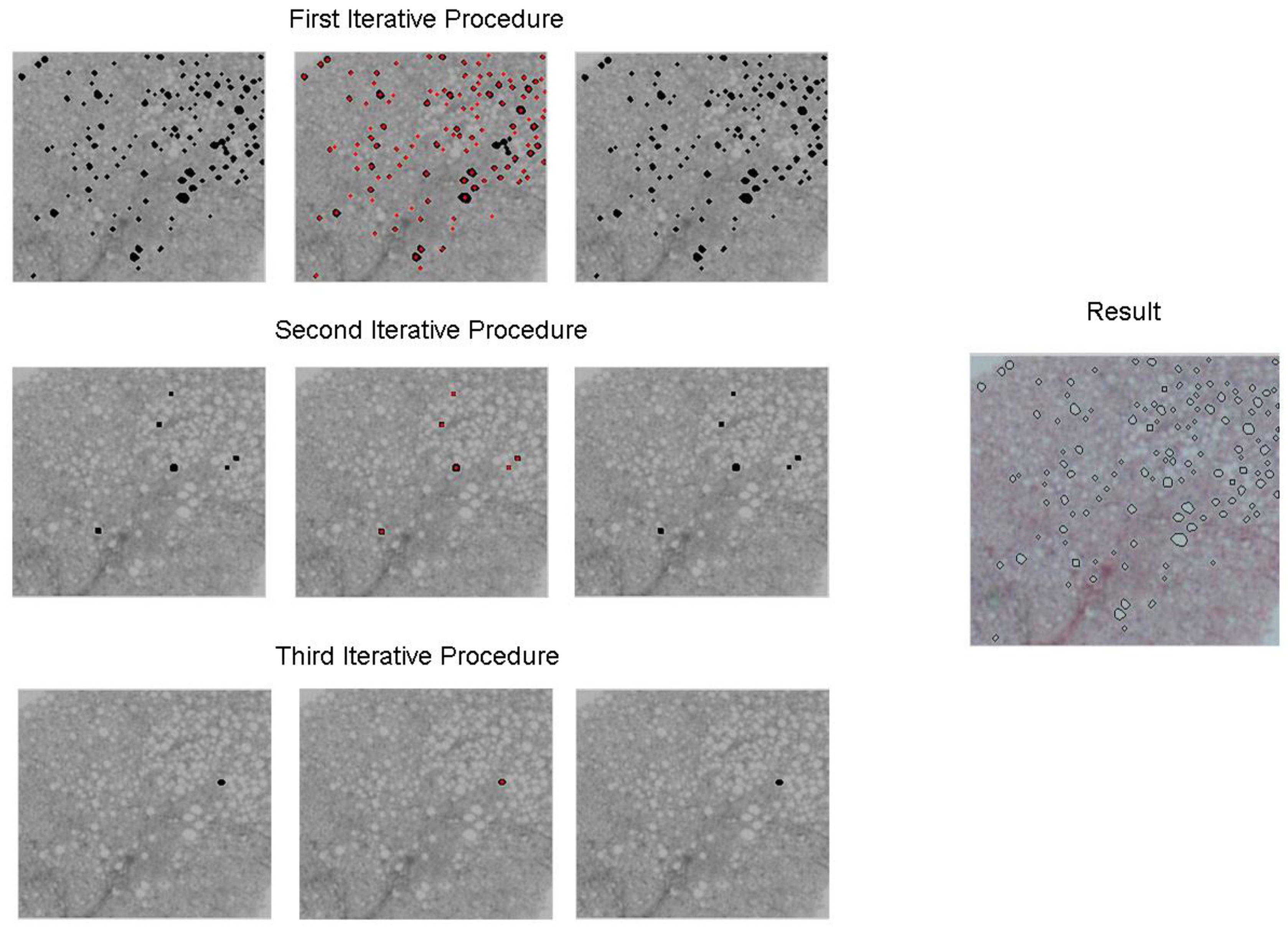 Information 08 00036 g004