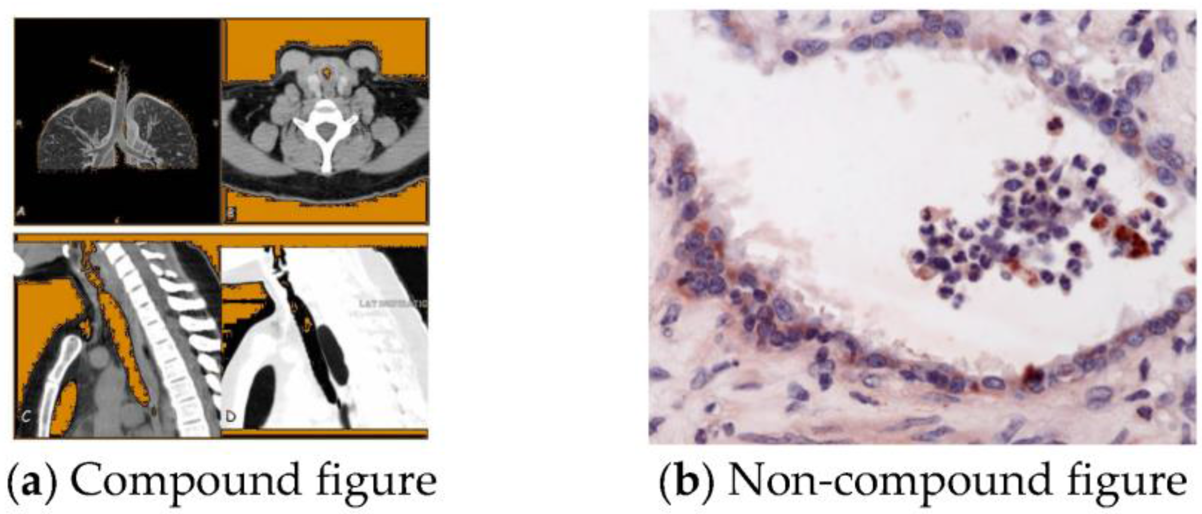 Information 08 00048 g001