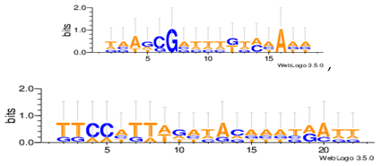 Information 08 00115 i002