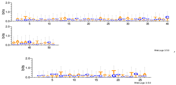 Information 08 00115 i004