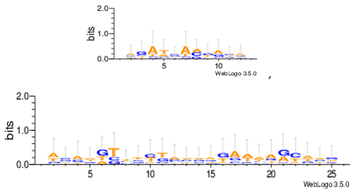 Information 08 00115 i005