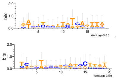 Information 08 00115 i010