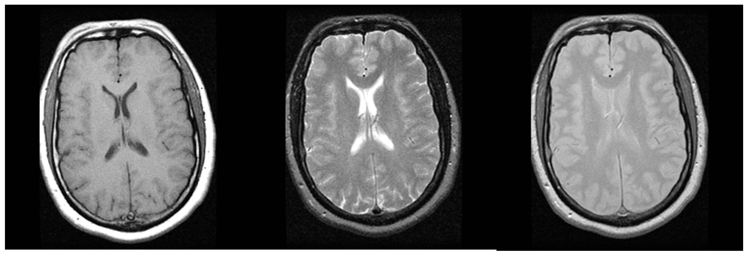 Information 08 00131 g002 Information 08 00131 g002